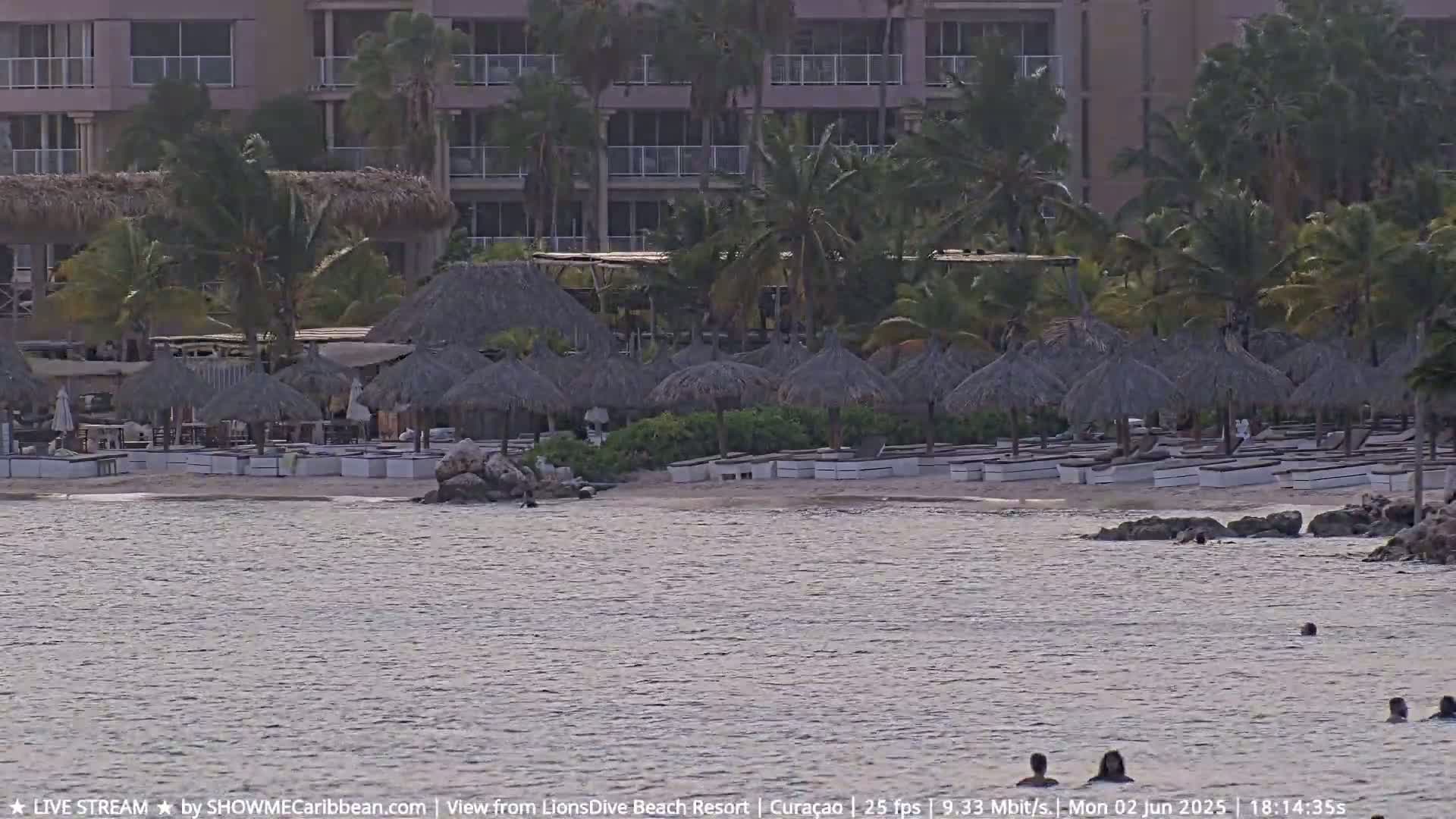A calm body of water laps a sandy beach lined with thatched umbrellas and lounge chairs in front of a resort building.