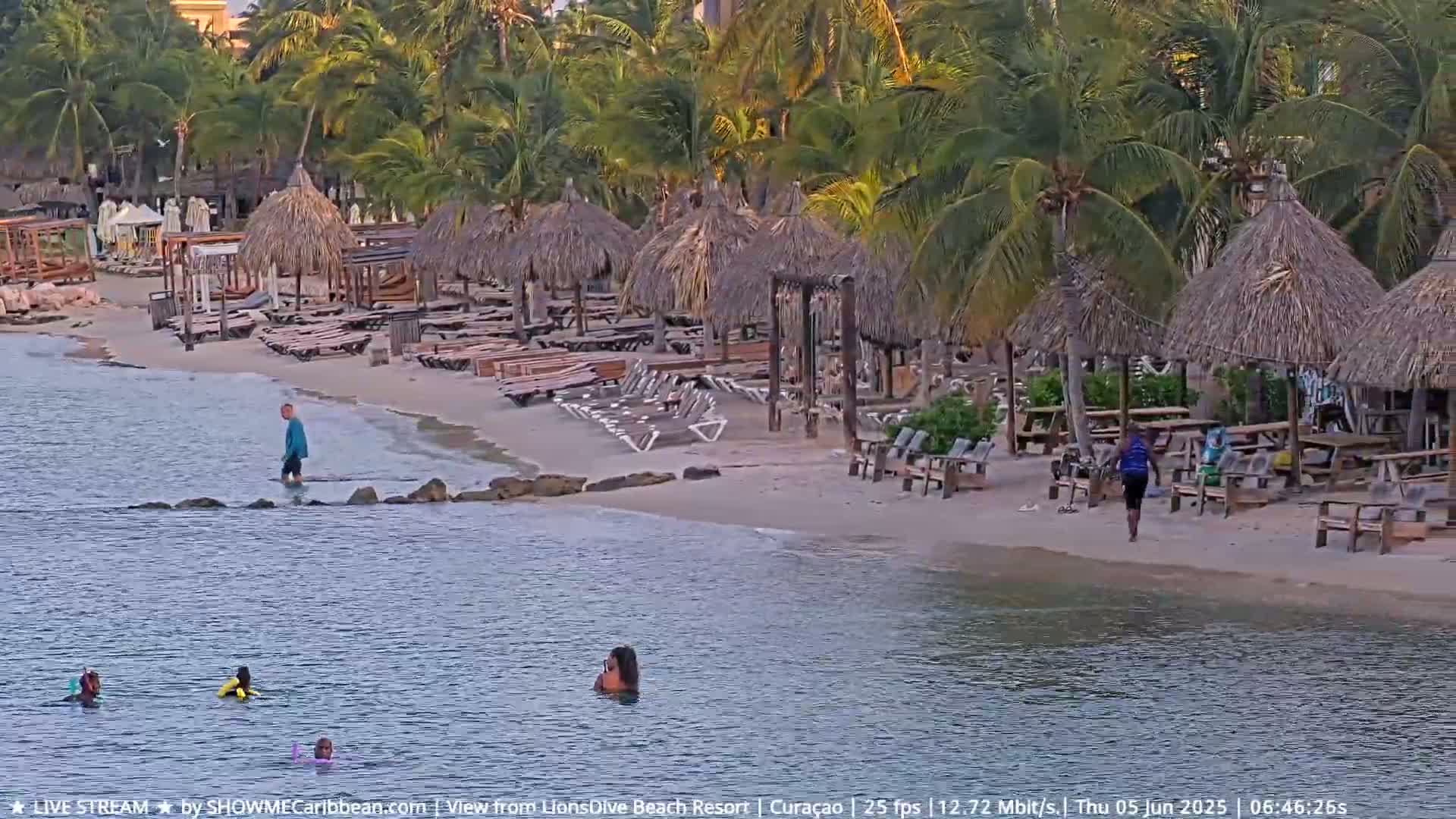 A sandy beach with numerous thatched-roof beach umbrellas and lounge chairs, surrounded by palm trees, is partially visible from a calm body of water where several people are swimming or wading.