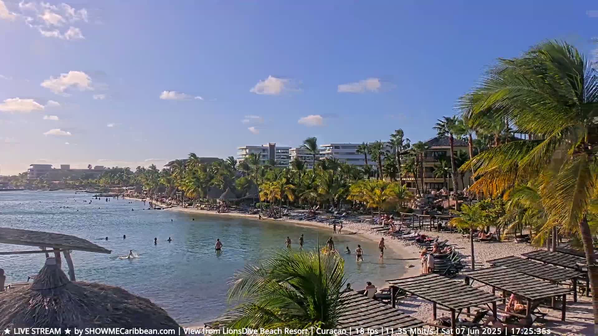 A sunny day at a tropical beach with calm water, palm trees, beachgoers, and resort buildings in the background.