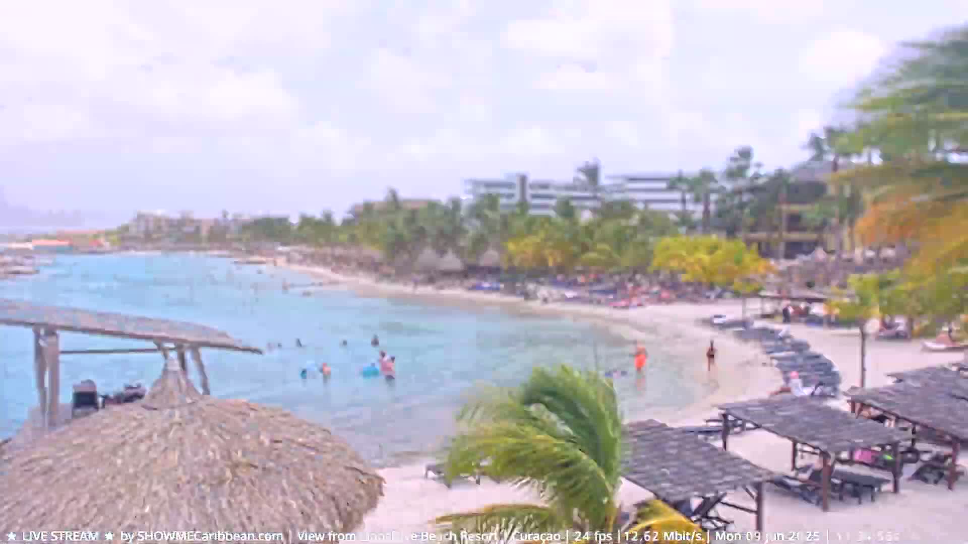 A breezy, sunny day at a tropical beach with turquoise water, people swimming and sunbathing, and beach umbrellas and lounge chairs lining the shore near resort buildings.