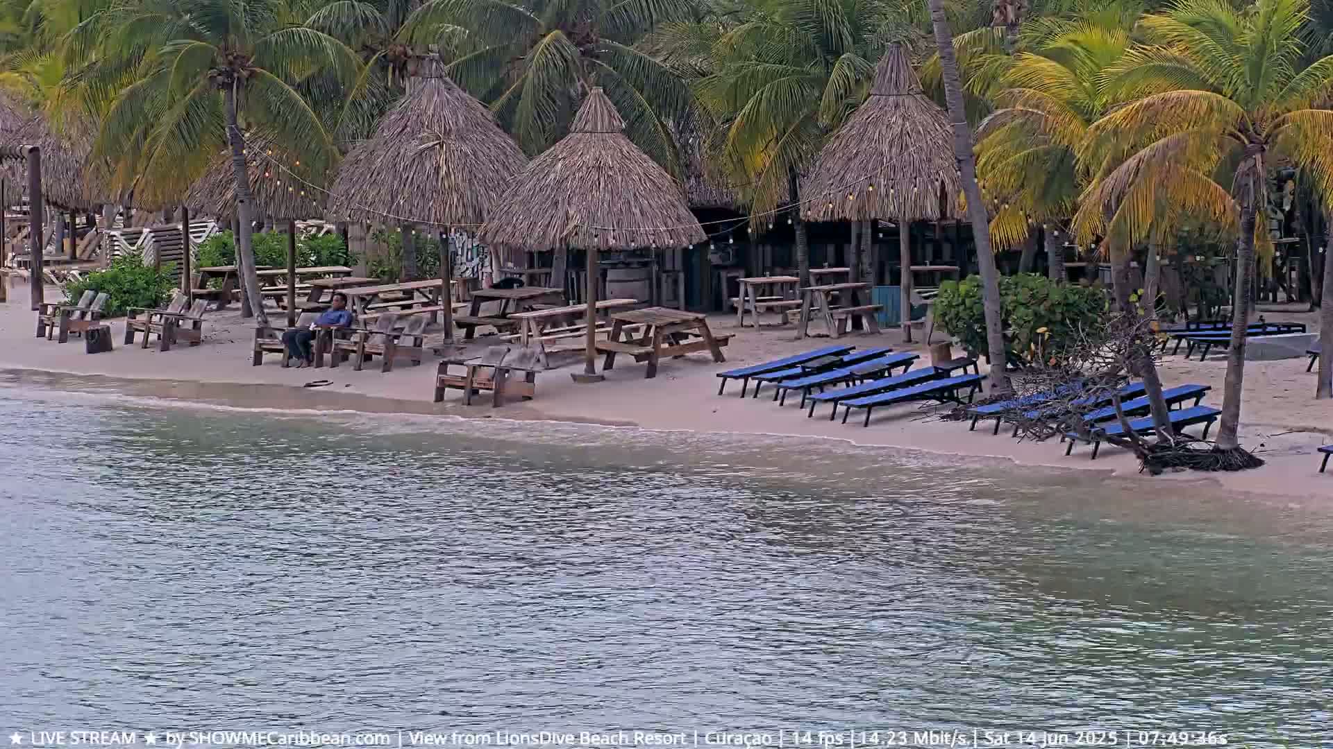 A sandy beach with thatch-roofed huts, picnic tables, lounge chairs, and a person sitting at a table, all under palm trees next to calm water.