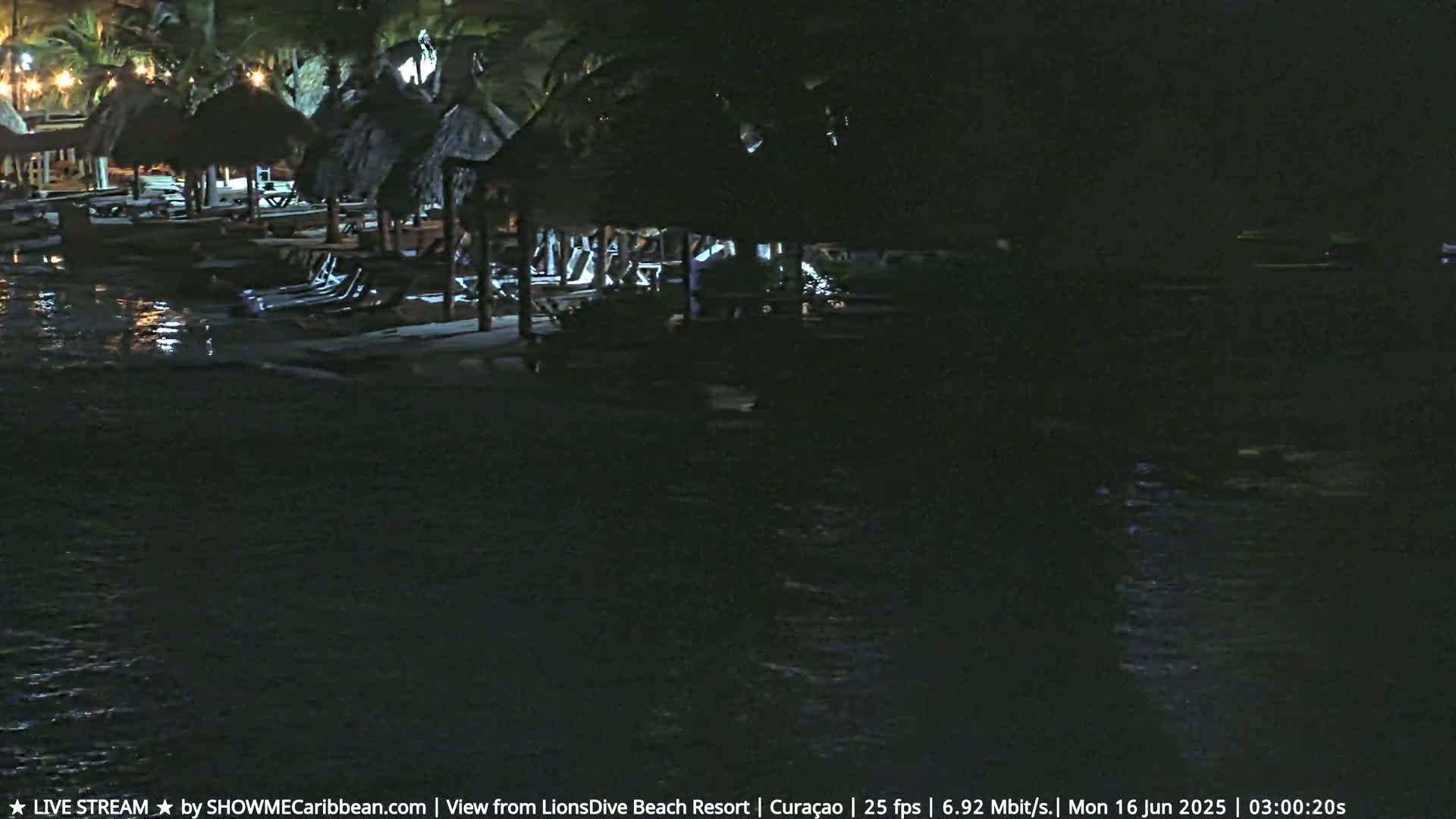 A nighttime scene shows several thatched-roof structures and lounge chairs situated near calm, dark water.