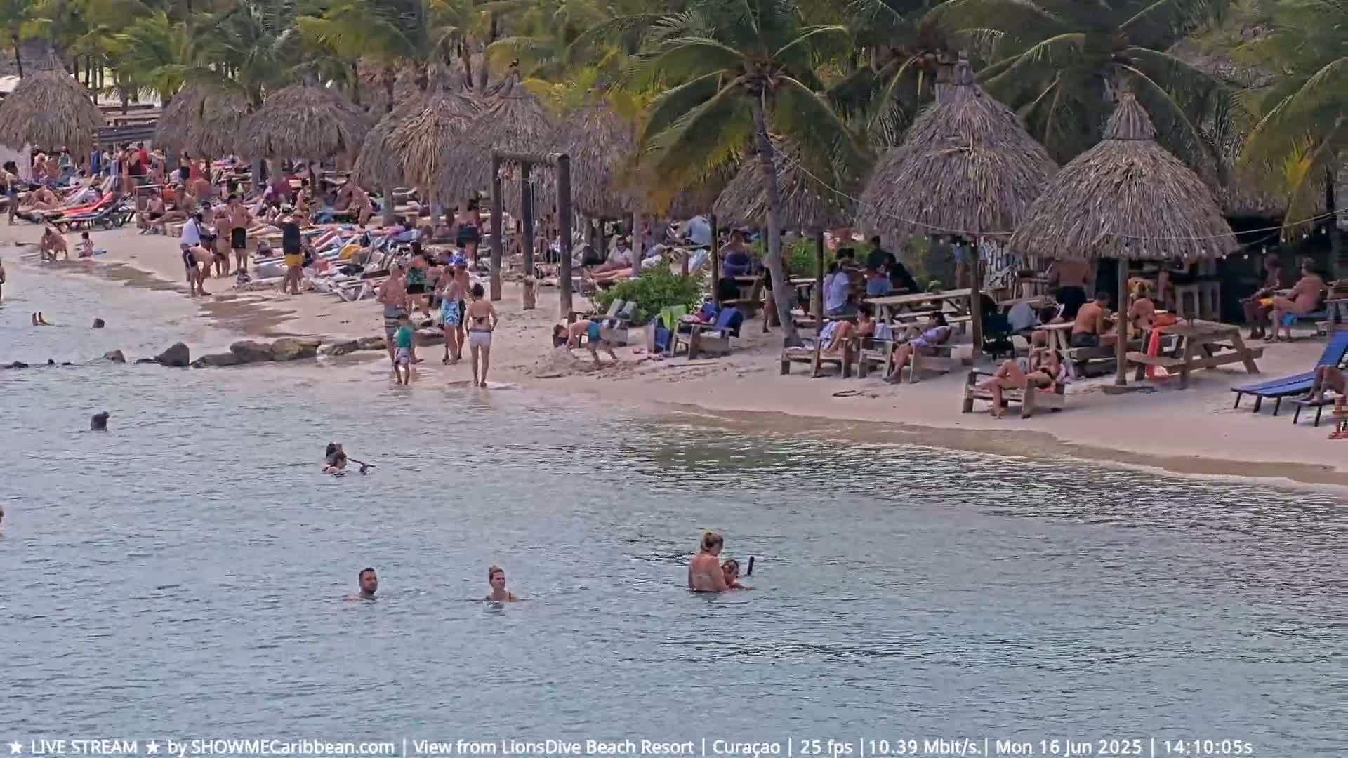 A sandy beach with numerous people relaxing under thatched umbrellas, swimming in calm water, and sitting at picnic tables near palm trees on a sunny day.