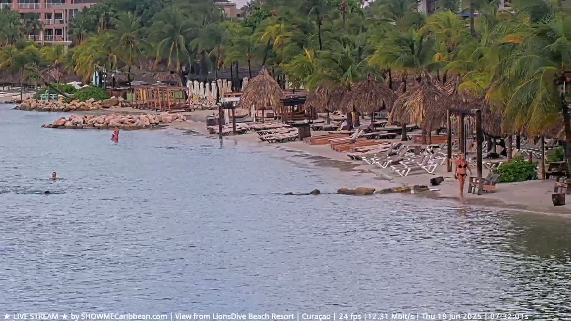 A sandy beach with palm trees, beach chairs, and thatch umbrellas is shown next to calm water, where a few people are swimming and one person is walking on the shore.