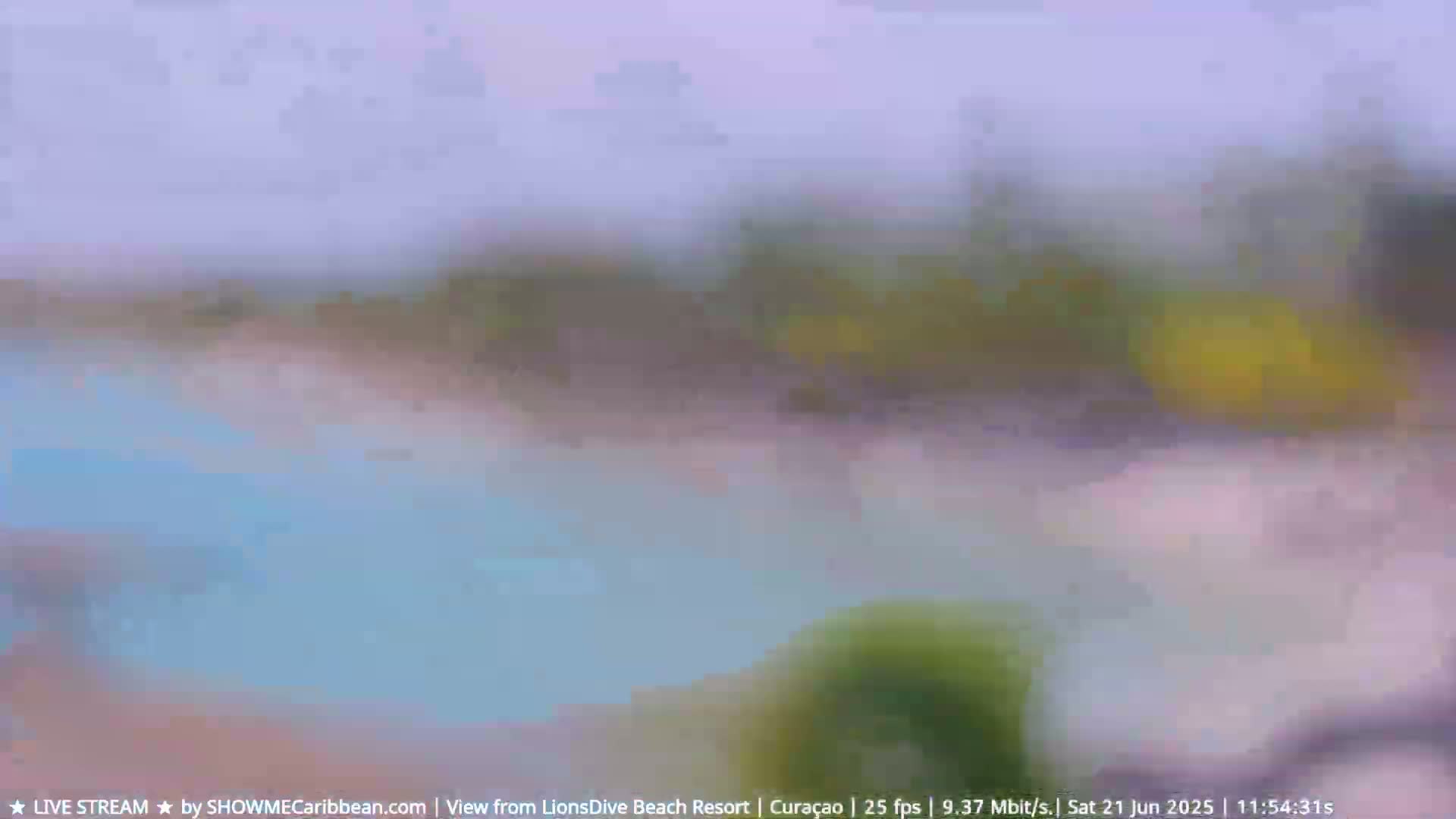 A blurry image shows a hazy, overcast day over a light blue body of water near a beach with vegetation.