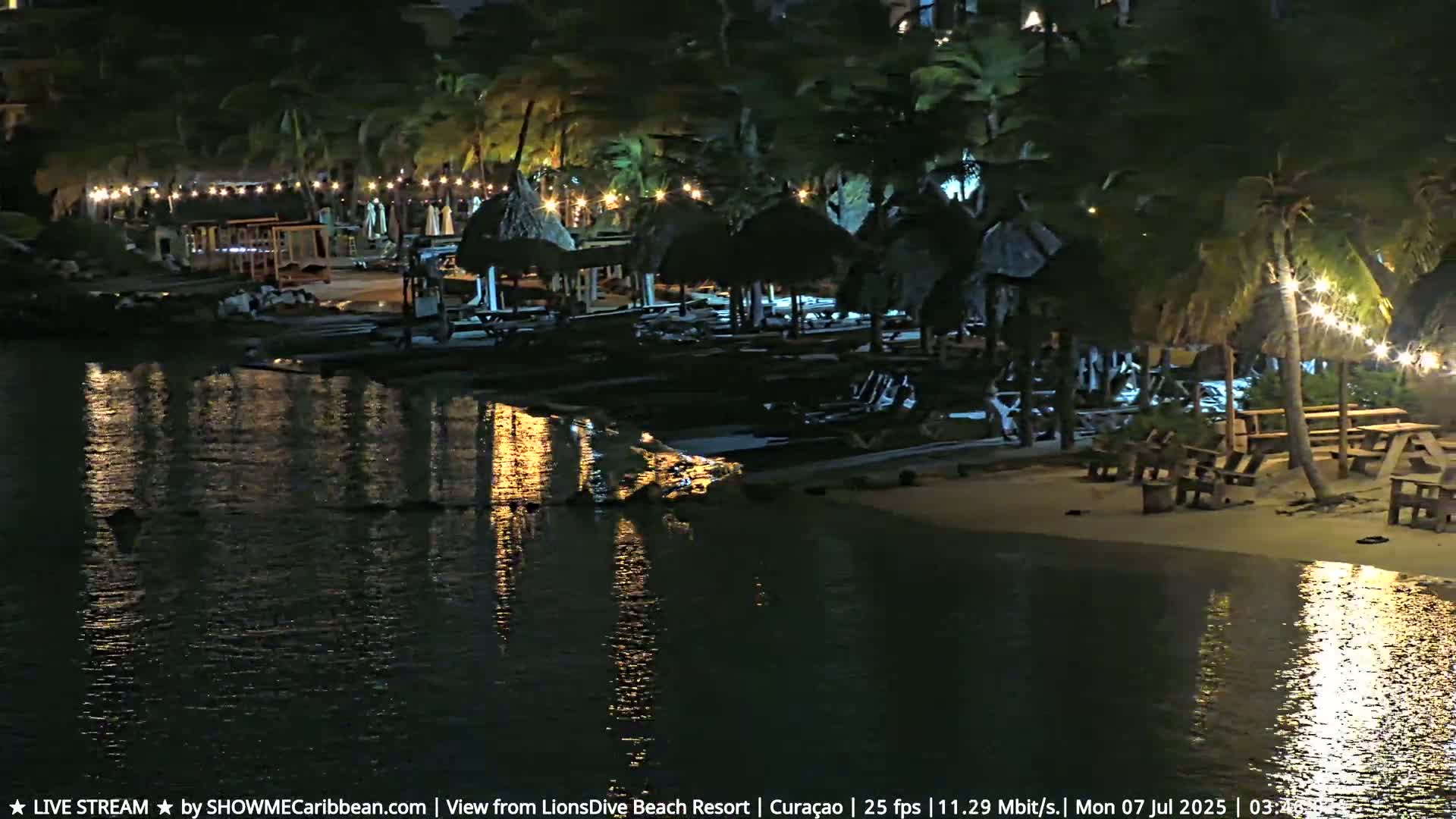 A nighttime beach scene shows calm water reflecting lights from thatched-roof structures, lounge chairs, and string lights strung between palm trees.