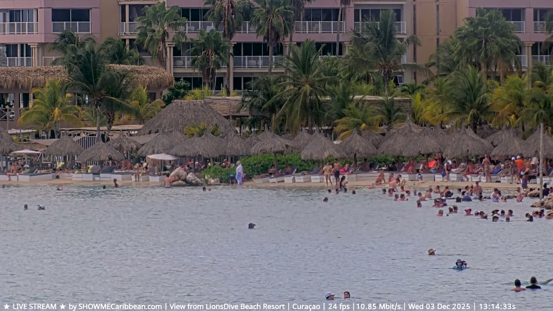 Carribean, Curacao, Mambo Beach  Live Cam - Willemstad, Curaçao, Netherland