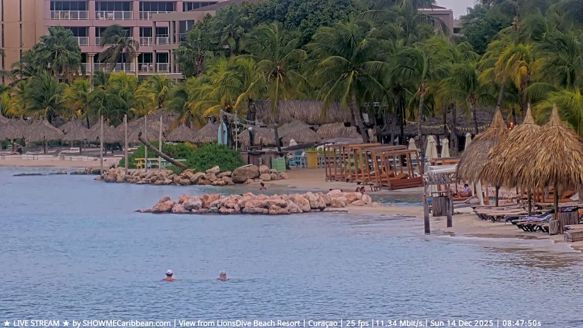 The image shows a resort beach or waterfront at night, illuminated by string lights and colorful uplighting on the sand where picnic tables and lounge chairs are set up, with the lights reflecting on the calm water under clear skies.