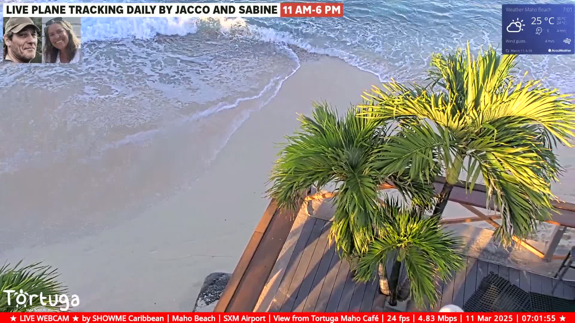 A beach scene with calm waves lapping a sandy shore, viewed from a wooden deck shaded by palm trees in sunny weather.
