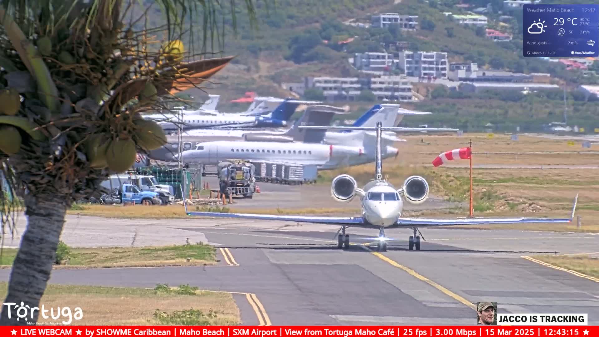 A white private jet taxis on an airport runway on a sunny day, past several other parked planes and airport vehicles, with a palm tree in the foreground.