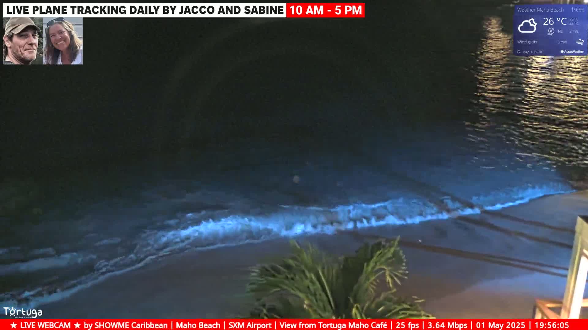 Bio-luminescent waves glow blue at night on a dark beach.