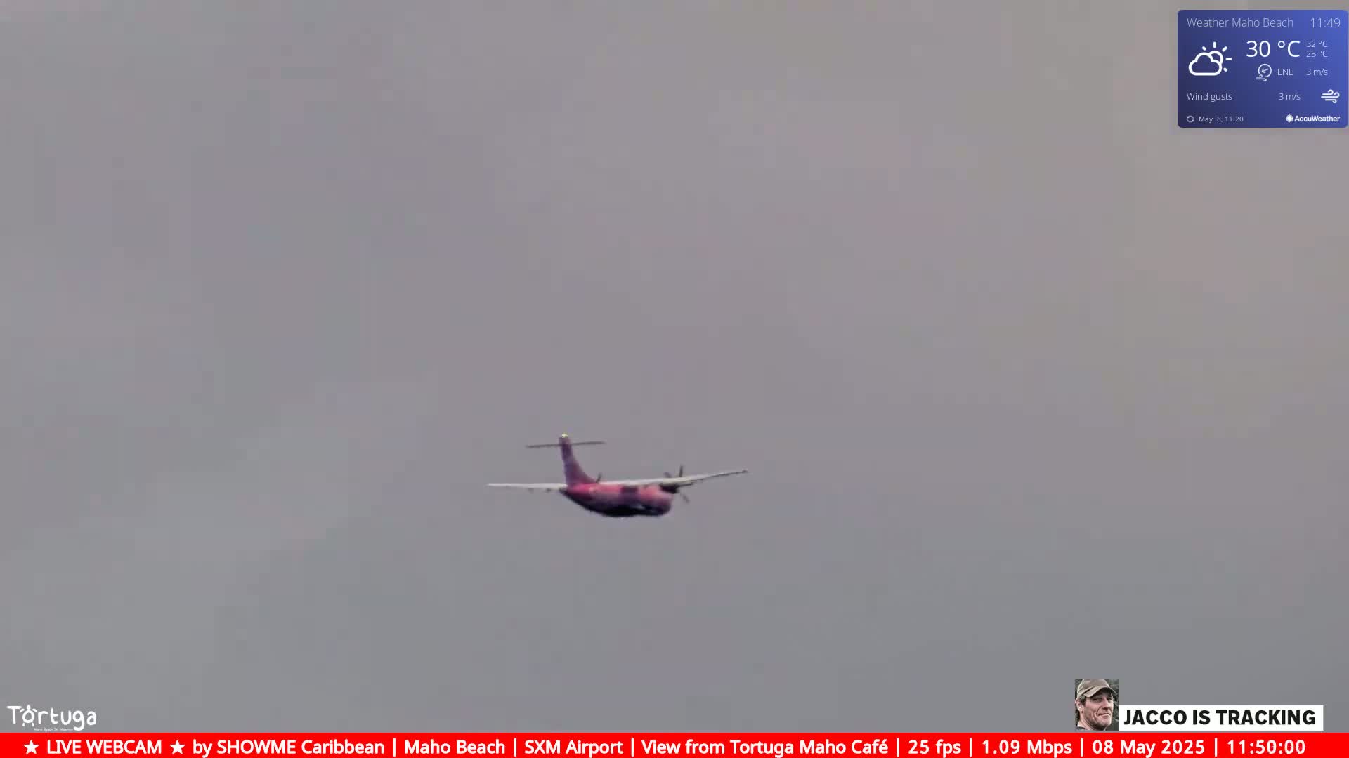 A pink propeller plane flies in a hazy, overcast sky.