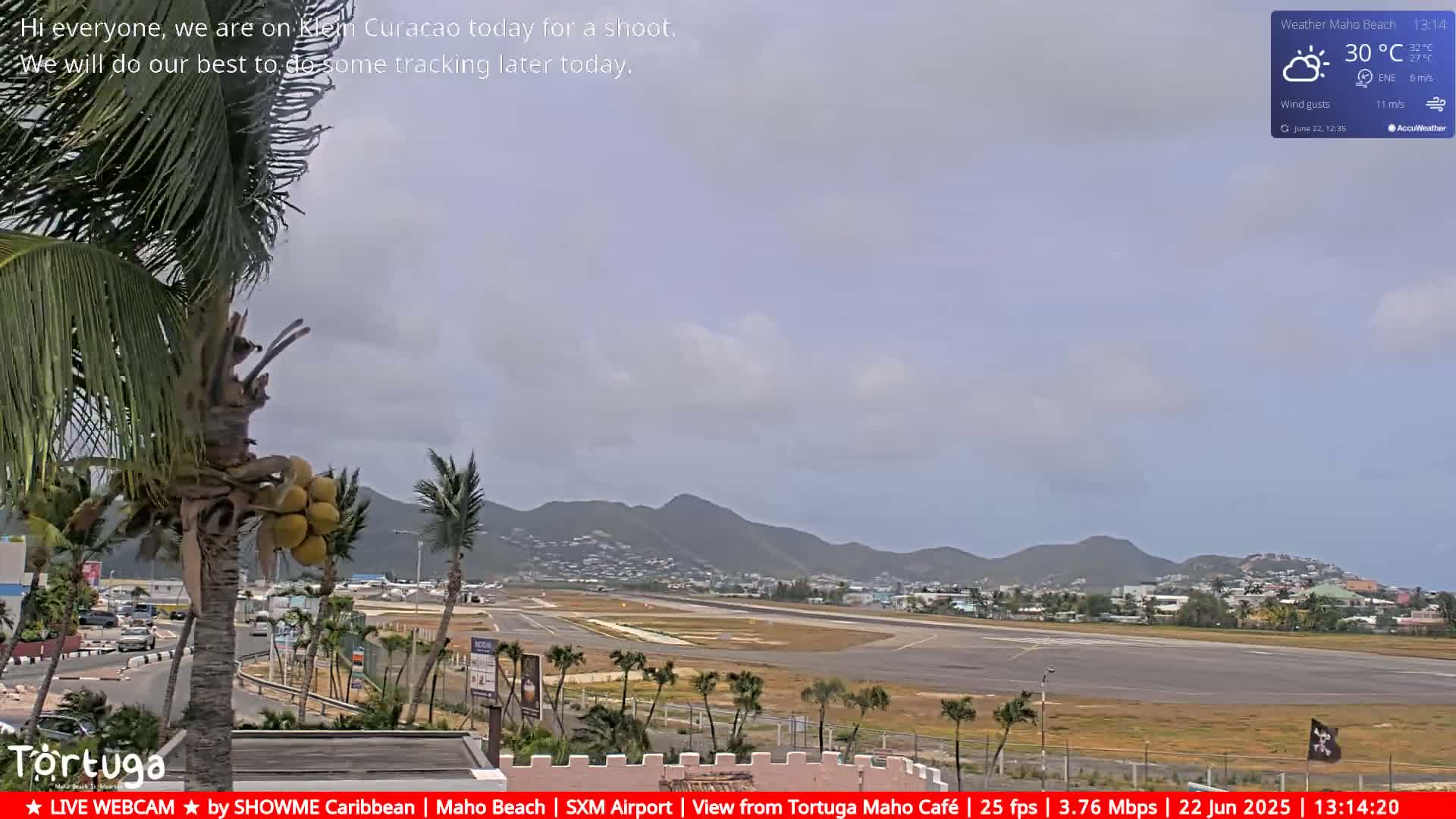 A partly cloudy sky overlooks an airport runway and surrounding buildings, with a palm tree in the foreground.