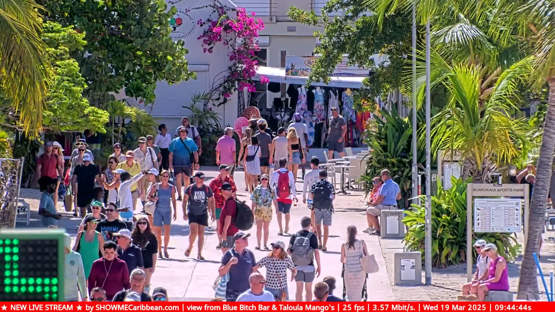 A sunny day shows many people walking along a boardwalk lined with tropical vegetation and shops.