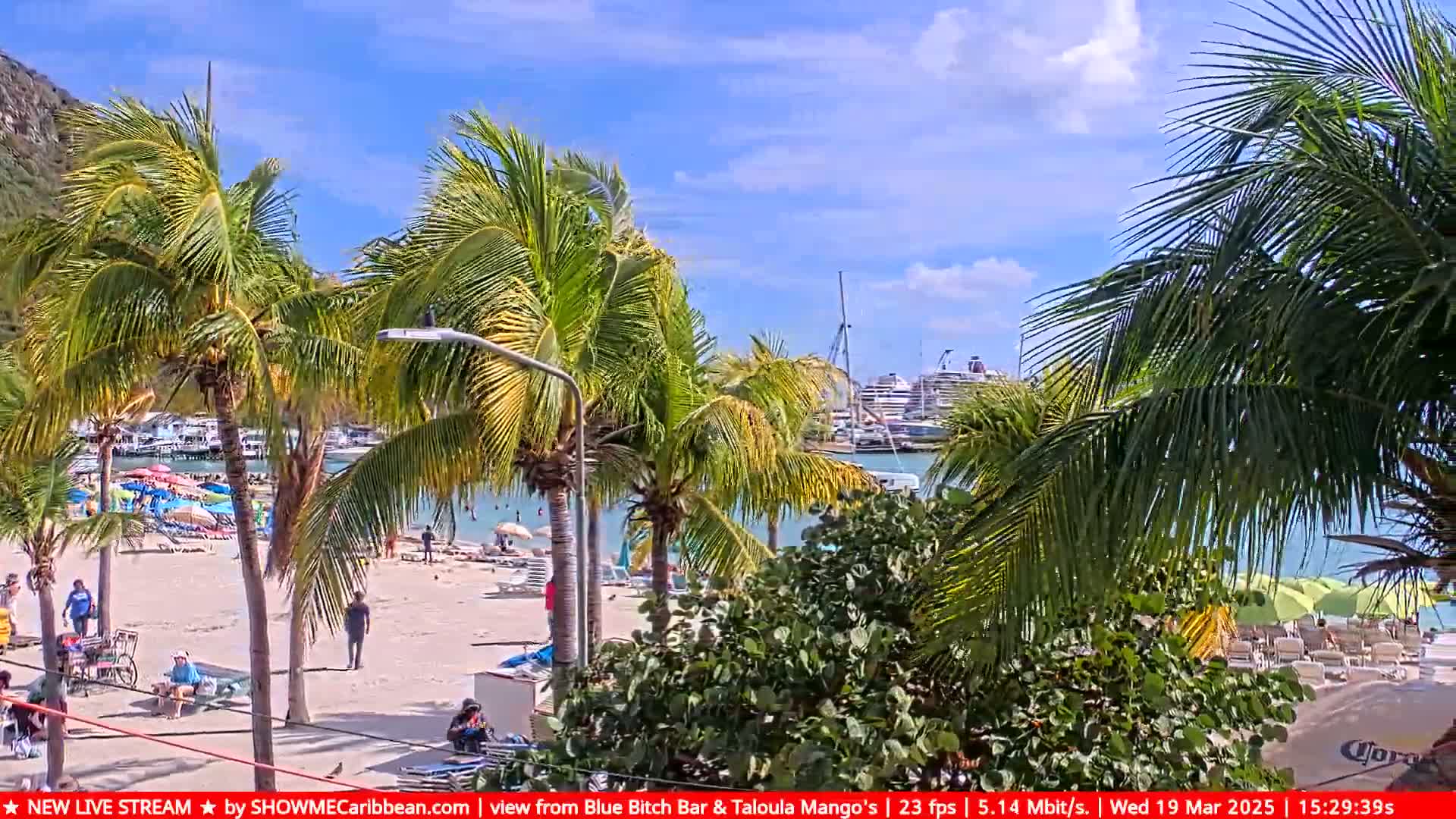 A sunny beach scene shows palm trees, people relaxing, and cruise ships in the harbor.
