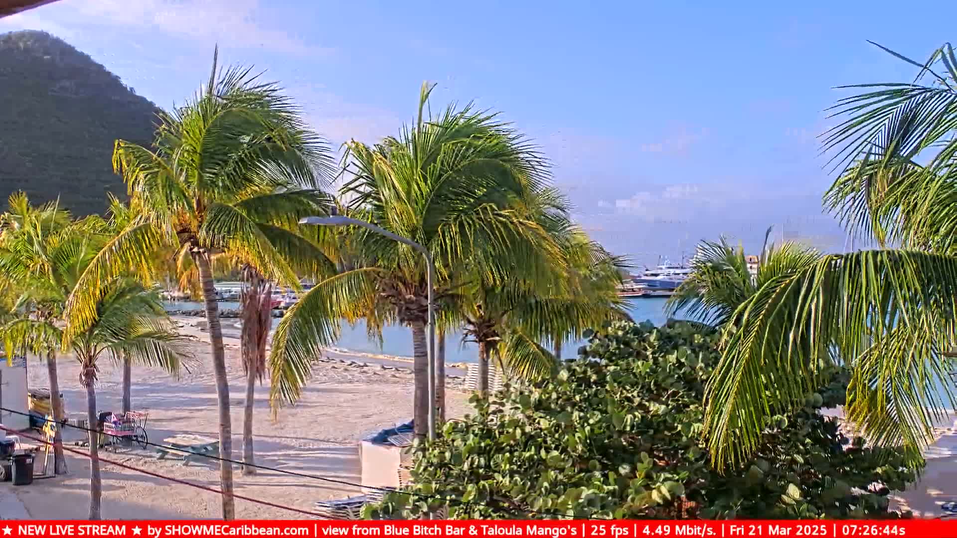 A sandy beach with palm trees is shown, next to a calm body of water with boats, under a clear blue sky with some clouds.