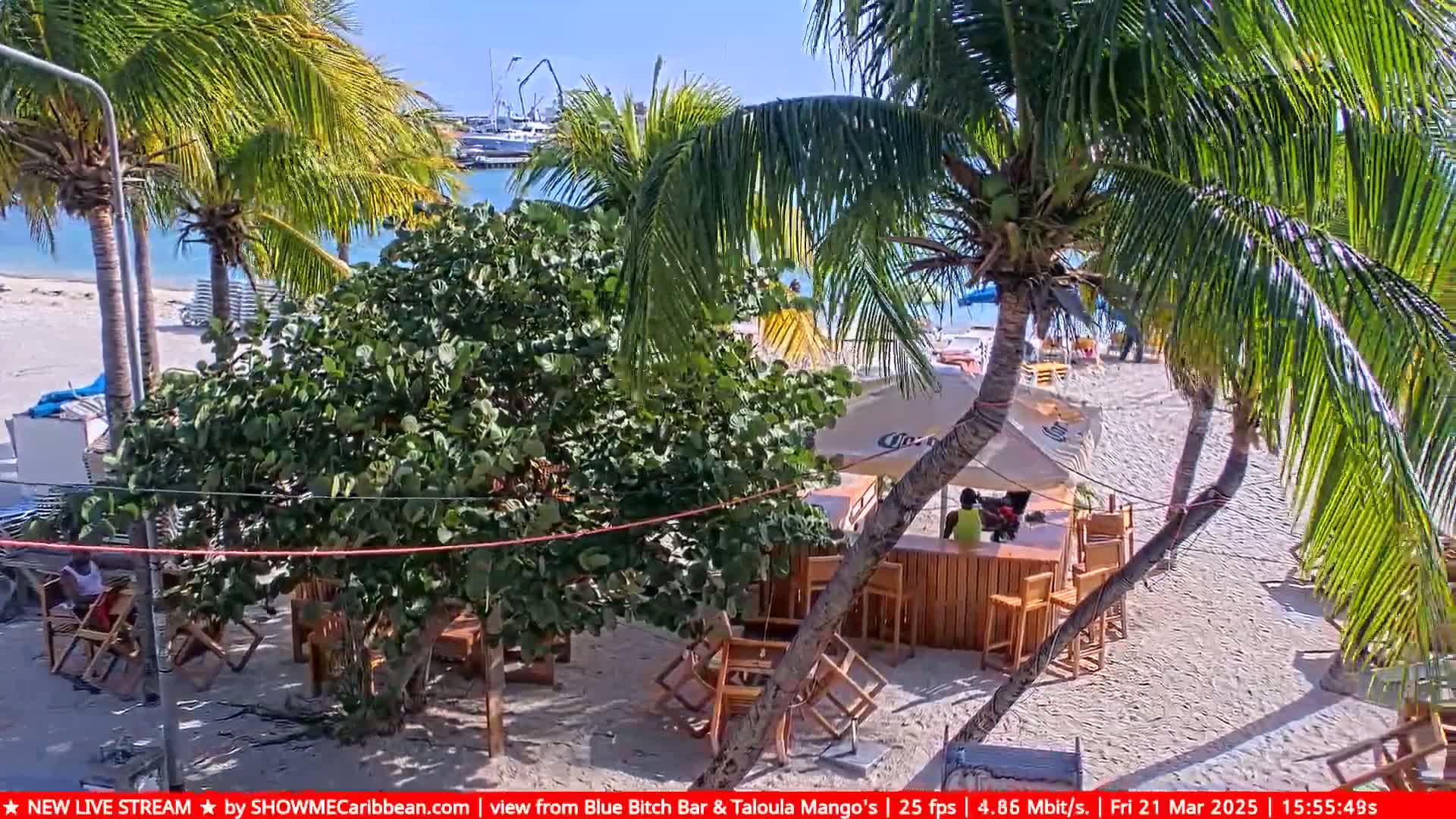 A beach bar with wooden furniture sits on a sandy beach under sunny skies, surrounded by palm trees and a calm body of water in the background.