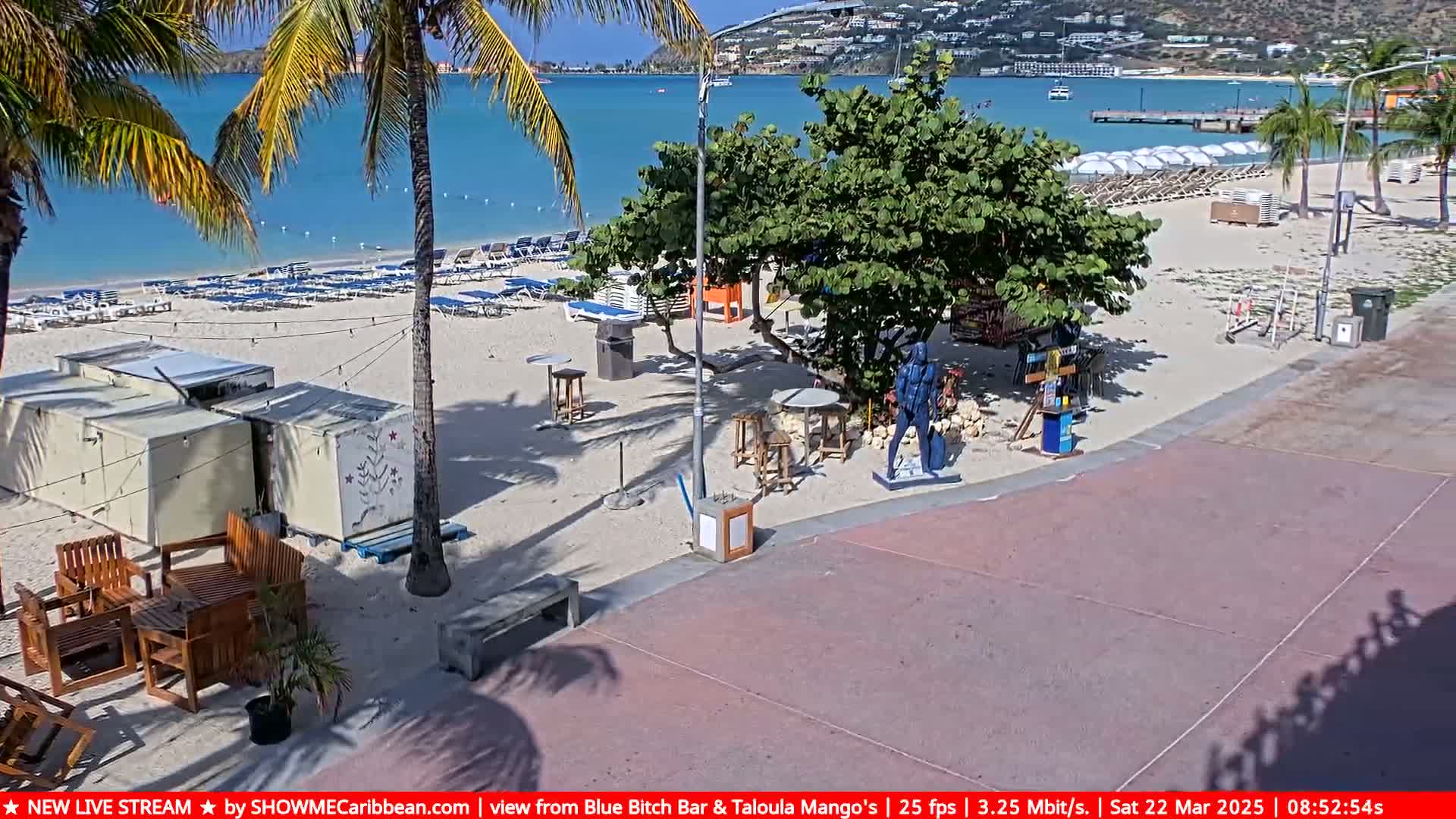 A sunny beach scene shows rows of lounge chairs, beach umbrellas, and outdoor seating areas near palm trees, with a calm turquoise ocean and distant buildings in the background.