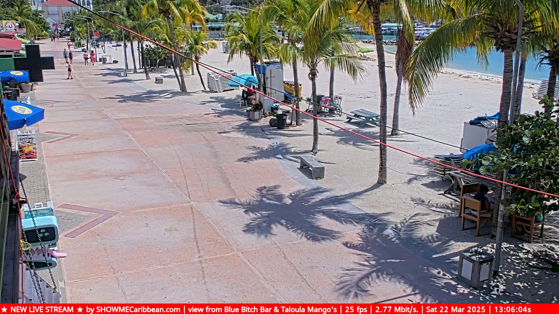 A paved walkway leads to a sandy beach with palm trees, beach chairs, and a few people walking.