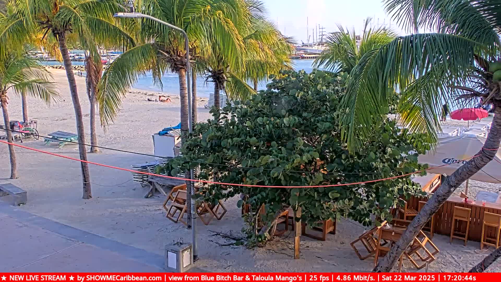A sandy beach with palm trees, beach chairs, and outdoor seating at a bar, under a mostly sunny sky.