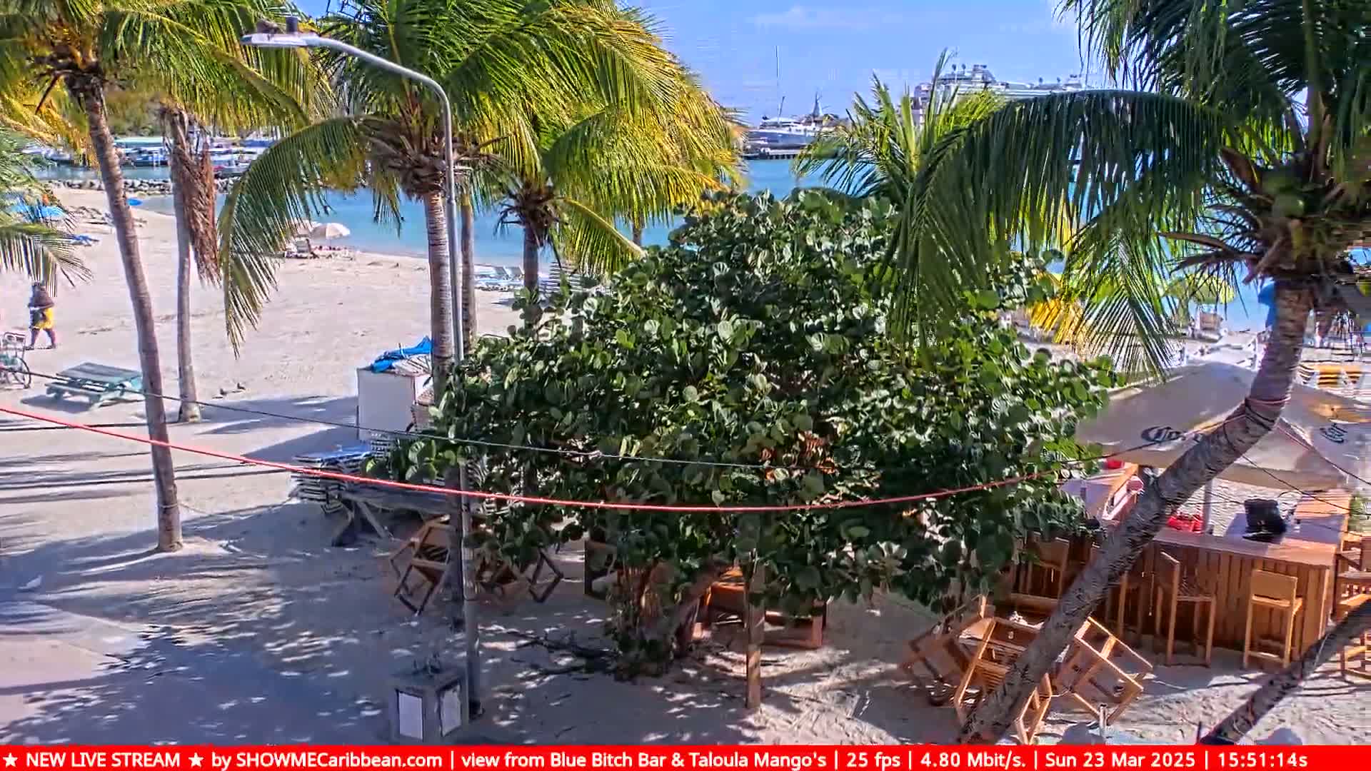 A sunny beach scene shows palm trees, a sandy shore, turquoise water, and outdoor seating at a bar with some overturned chairs.