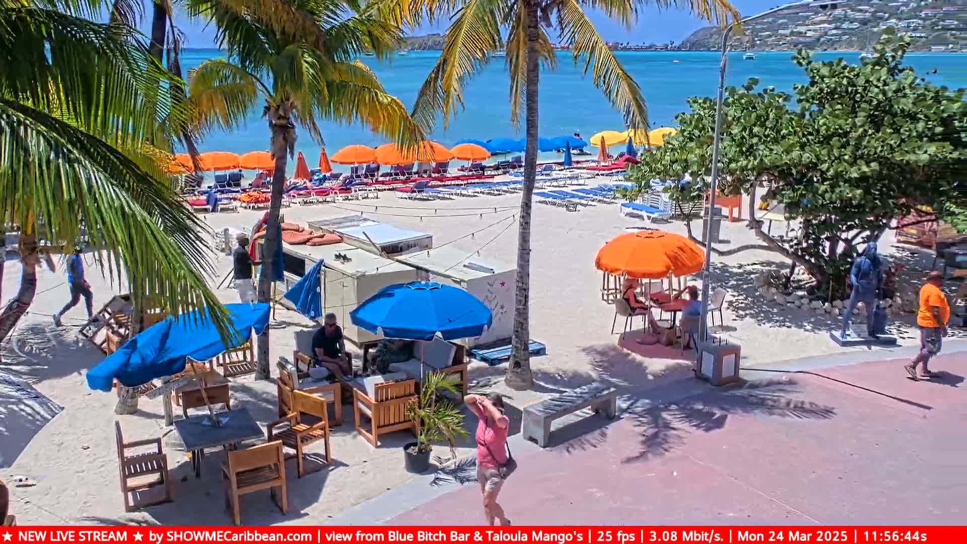 A sunny beach scene shows numerous colorful beach umbrellas and lounge chairs on a sandy beach, with palm trees, people walking, and outdoor seating areas nearby.