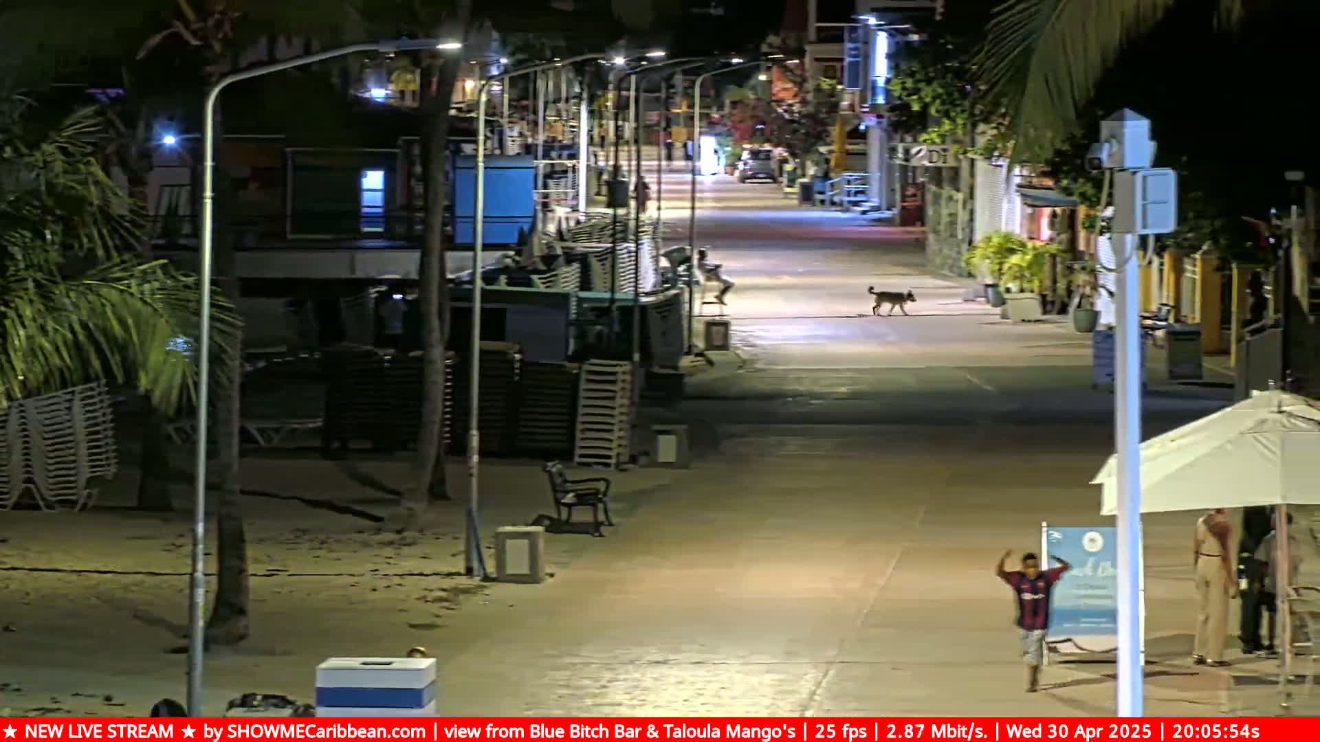 A nighttime street scene shows a dog walking down a paved path next to a beach, where a few people are walking and standing under a beach umbrella.