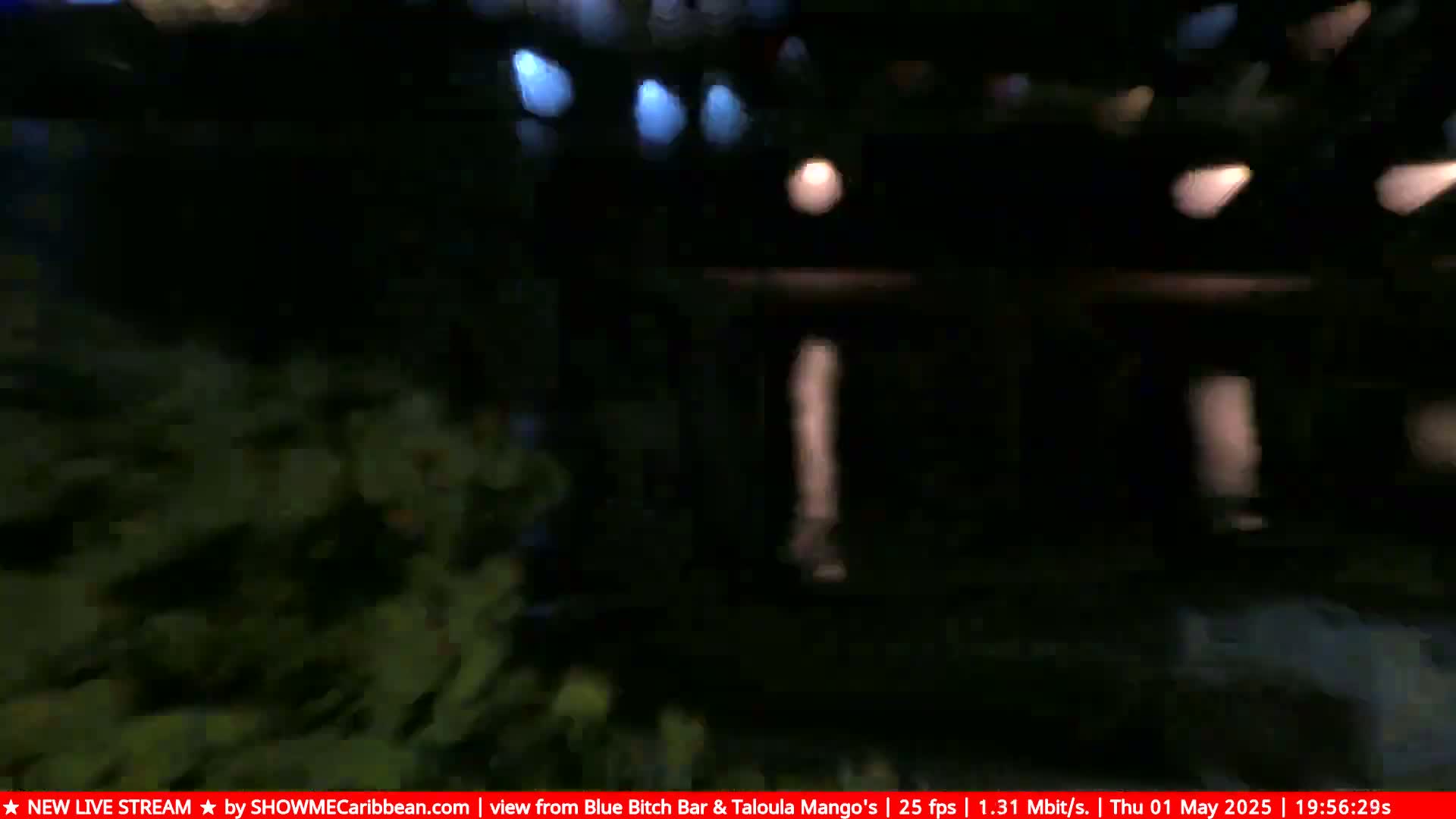A blurry nighttime view of dark foliage and dimly lit buildings.
