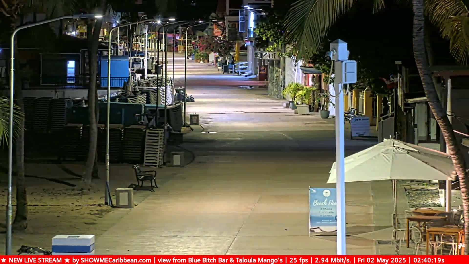 A mostly empty, nighttime street scene lined with buildings and palm trees, under clear skies.