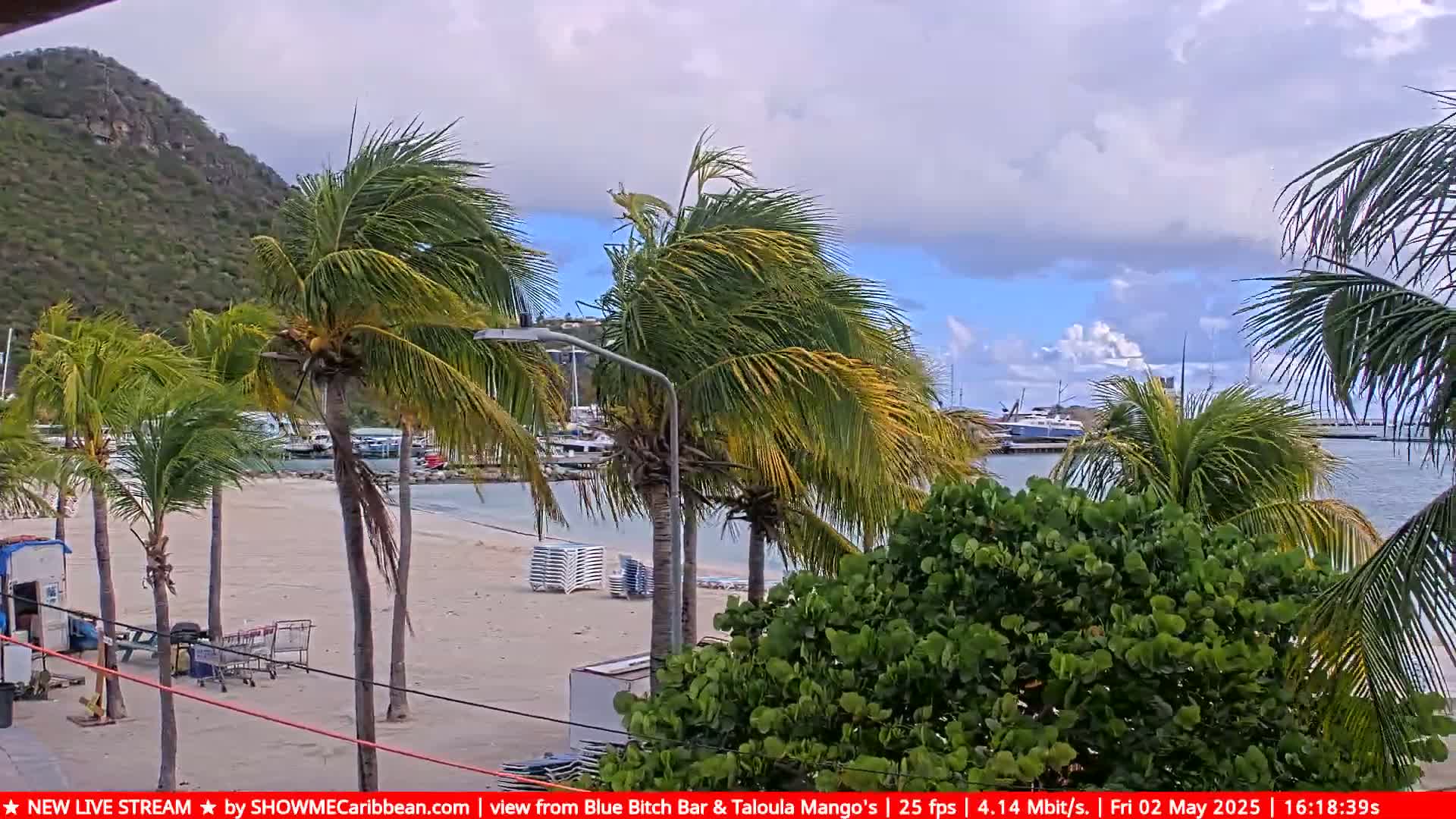 A partly cloudy day shows a sandy beach with palm trees blowing in the wind, overlooking a calm harbor with boats.