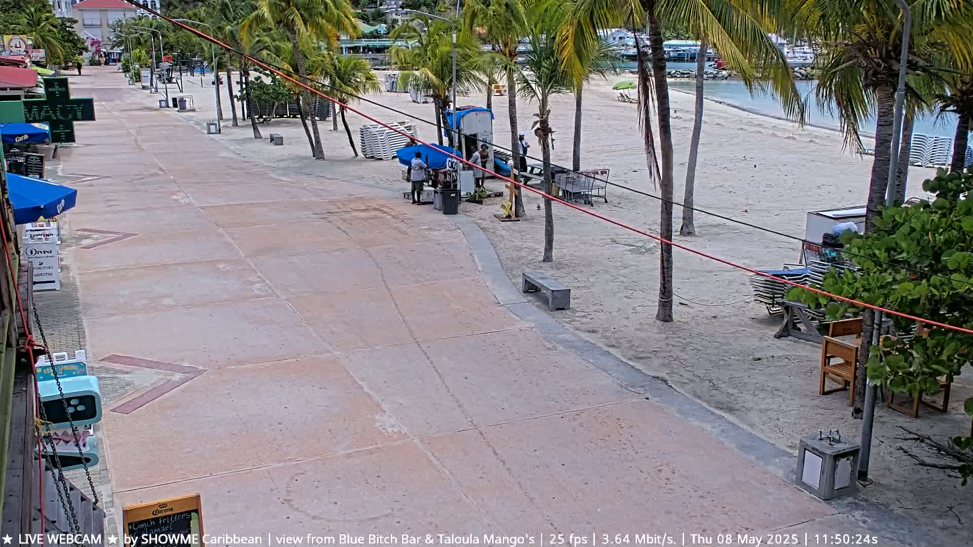 A paved walkway leads to a sandy beach with palm trees, where several people are arranging beach chairs and other items.