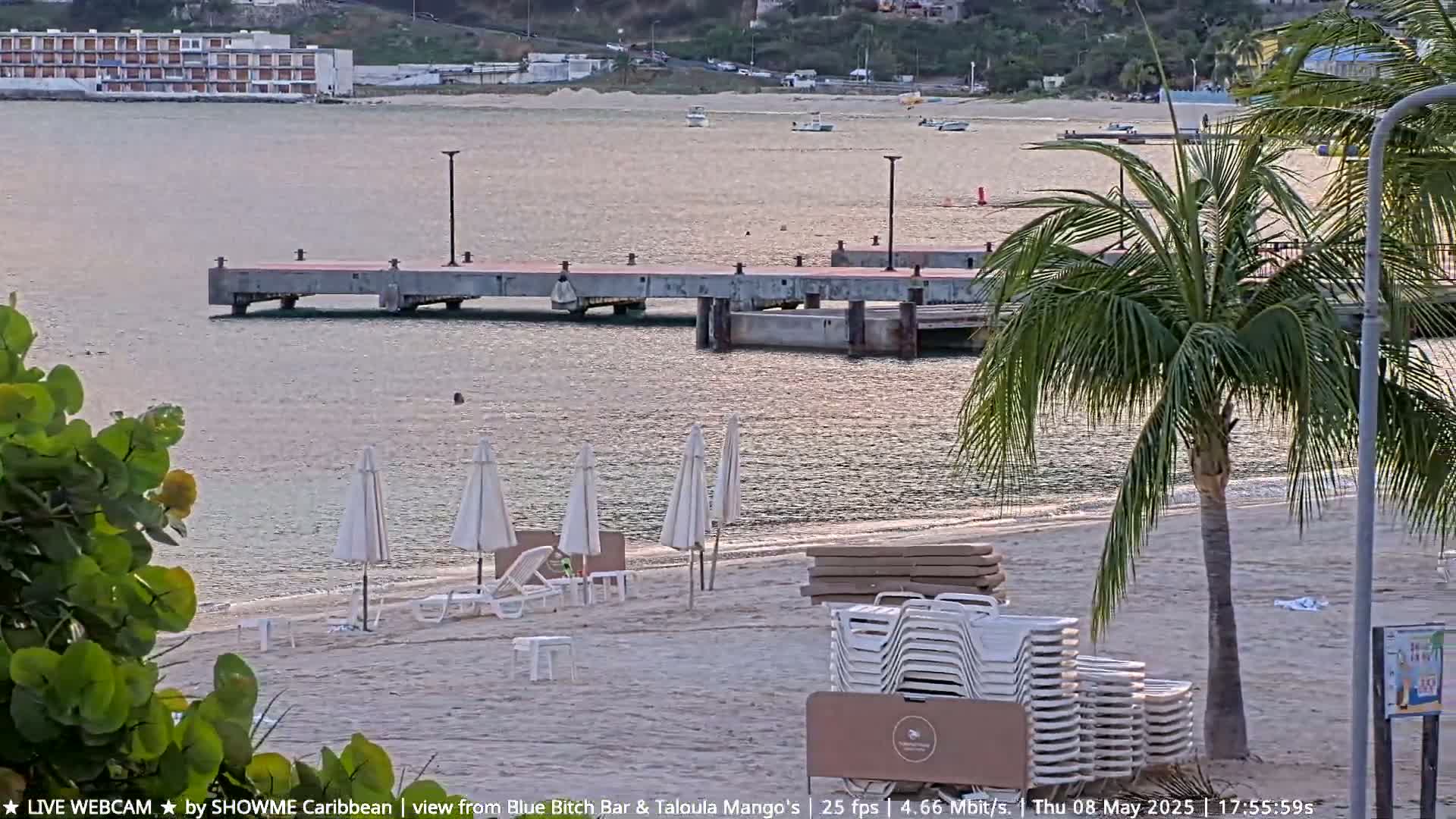A sandy beach with lounge chairs and umbrellas is next to a calm body of water with a pier, under a mostly clear sky.