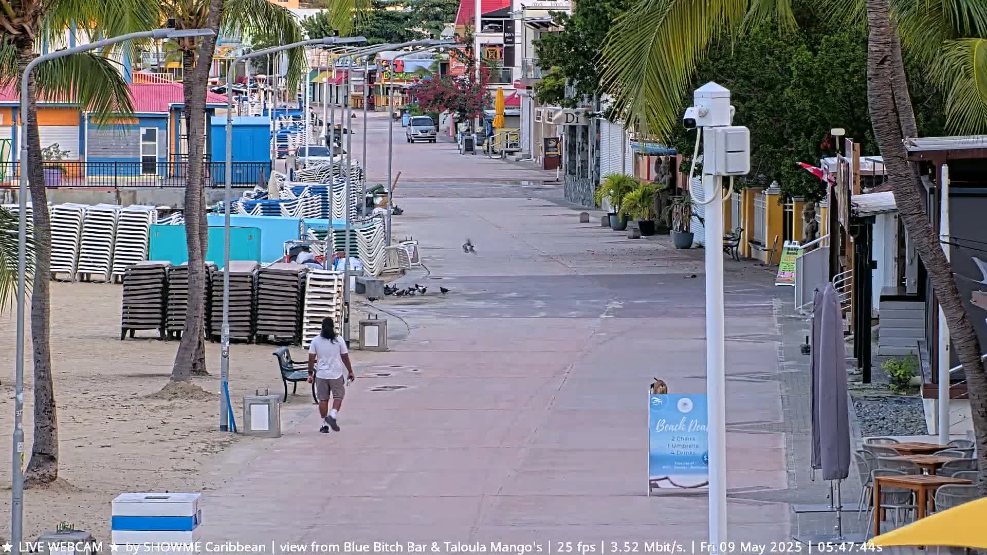 A mostly empty paved walkway leads to a beach with stacks of beach chairs, a person walks along the path, and a few birds are on the ground.