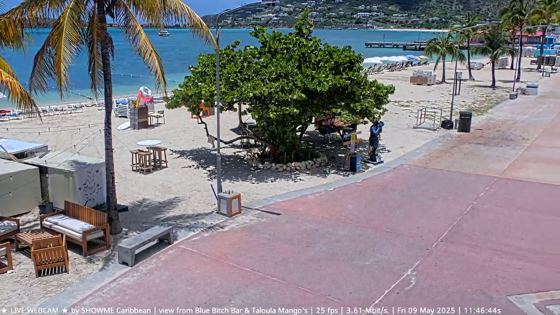 A sunny beach scene shows a sandy shoreline with lounge chairs, tables, and a palm tree, adjacent to a paved walkway and a calm, blue ocean with a distant shoreline.