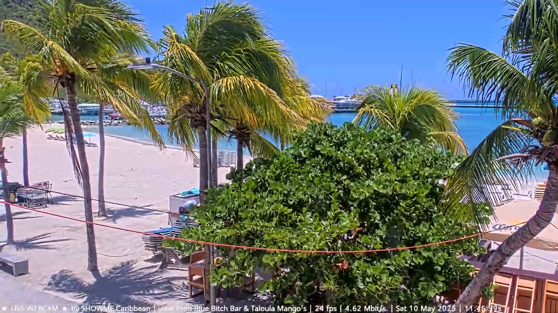 A sunny beach with palm trees, lounge chairs, and boats in the distance.