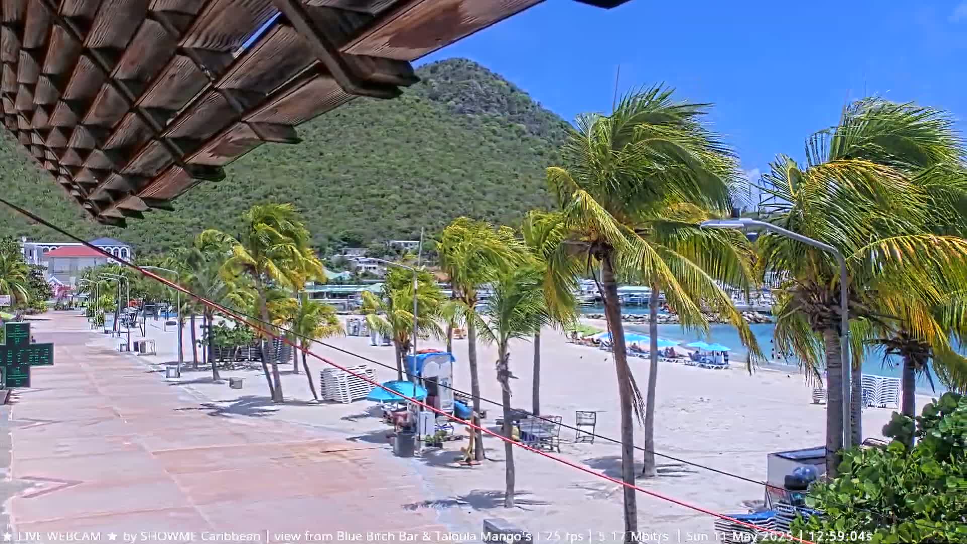 A sandy beach with palm trees and lounge chairs is seen from under a wooden pergola, with a lush green hill in the background on a sunny, windy day.