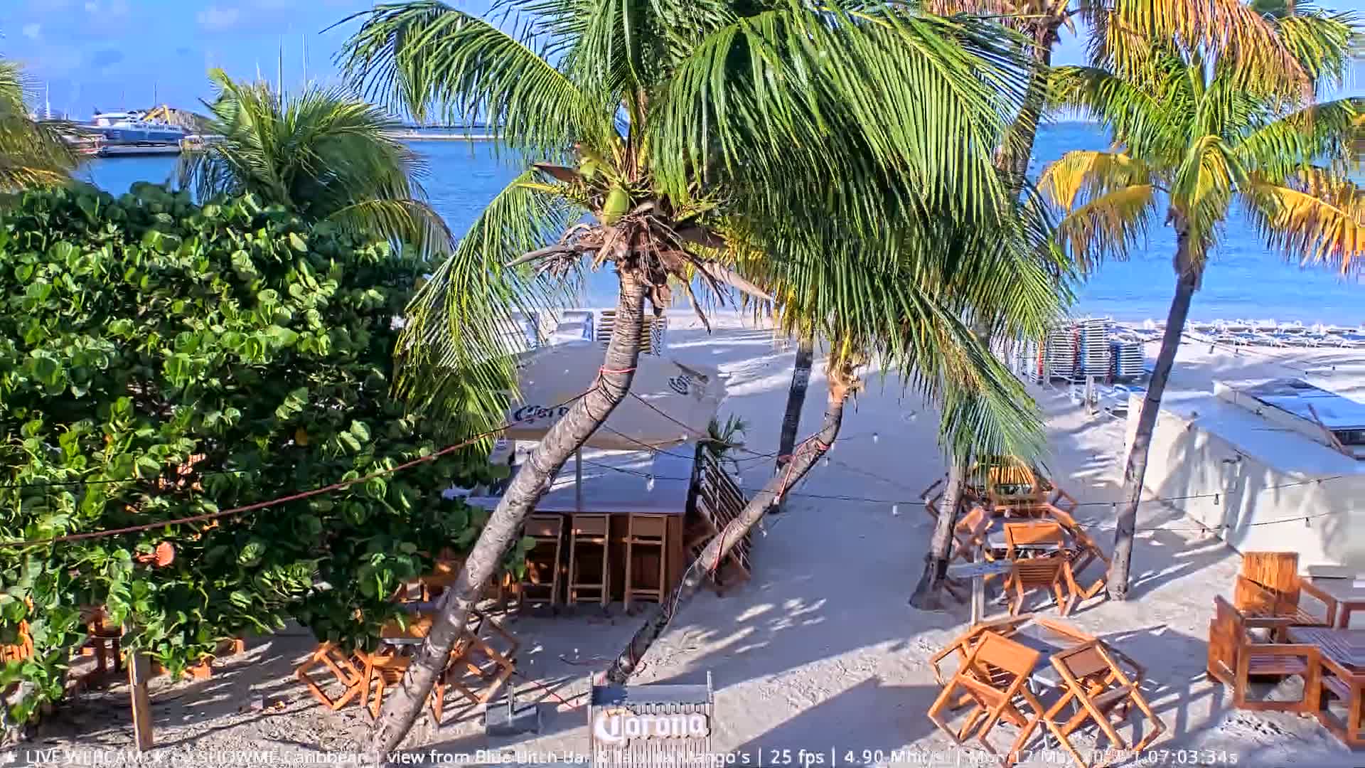 A beach bar with wooden tables and chairs sits on a sandy beach under a sunny sky, with palm trees and a calm ocean visible in the background.