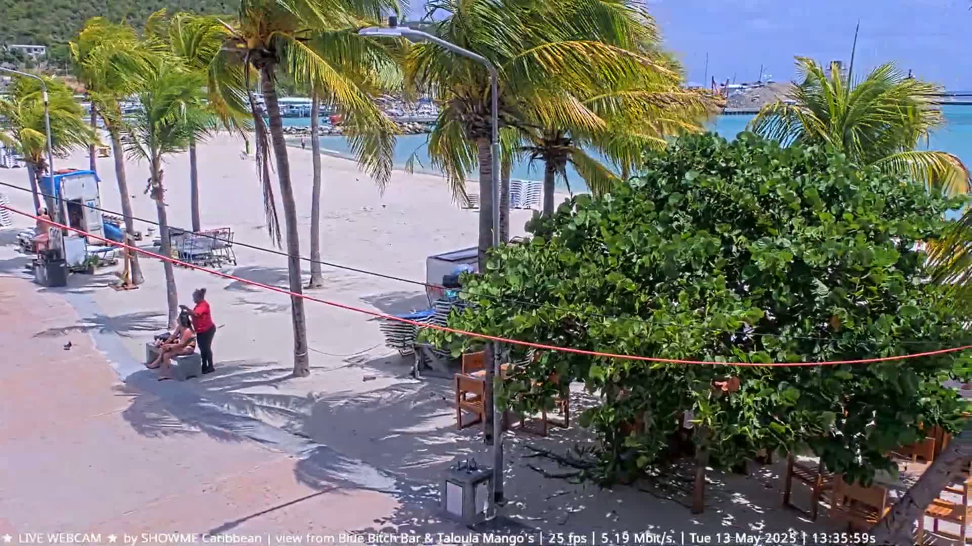 A sunny beach scene shows a sandy shoreline with palm trees, beach chairs, and a person braiding another's hair.