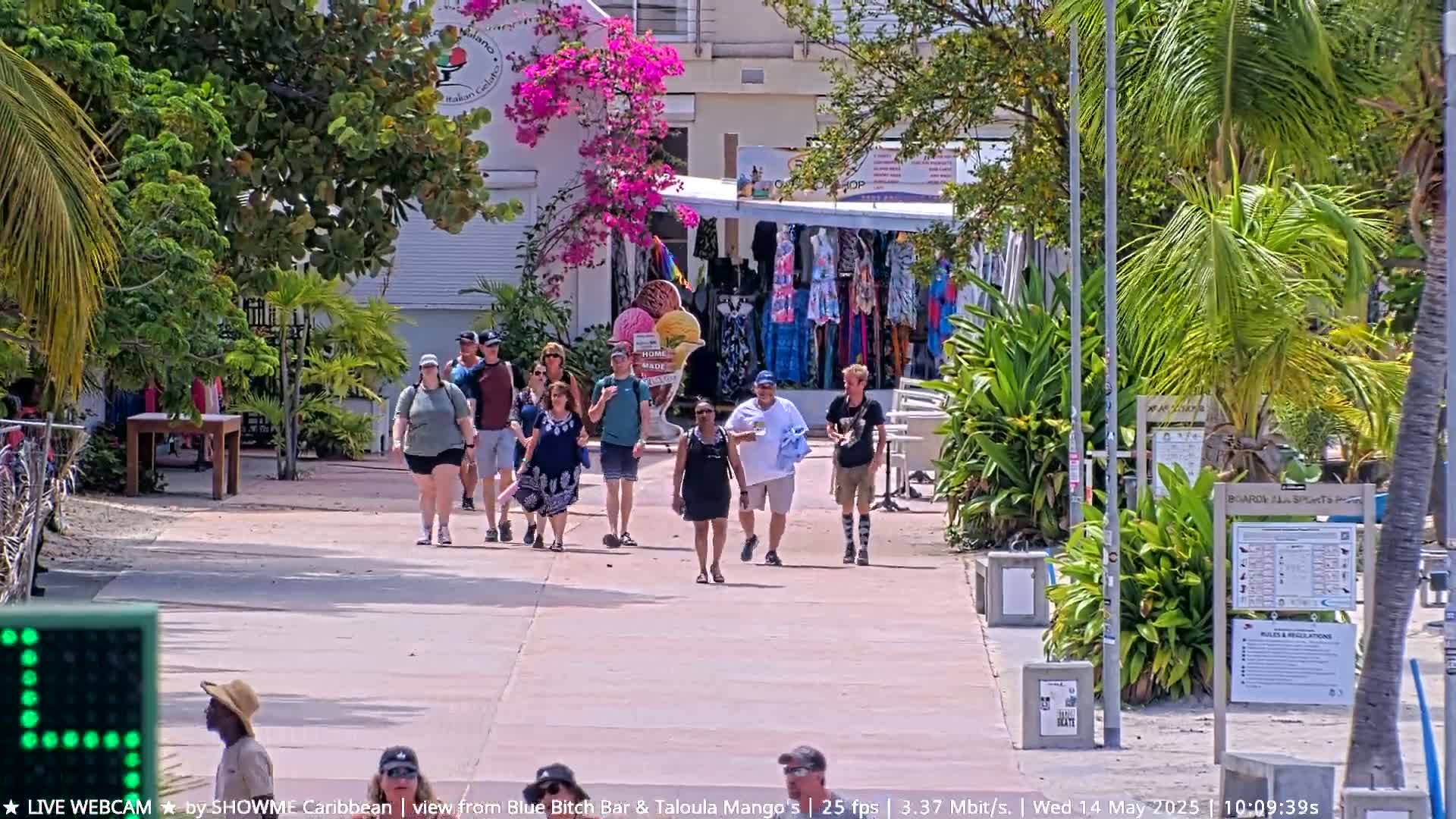 A group of people walk down a sunny paved pathway lined with tropical plants and small shops.
