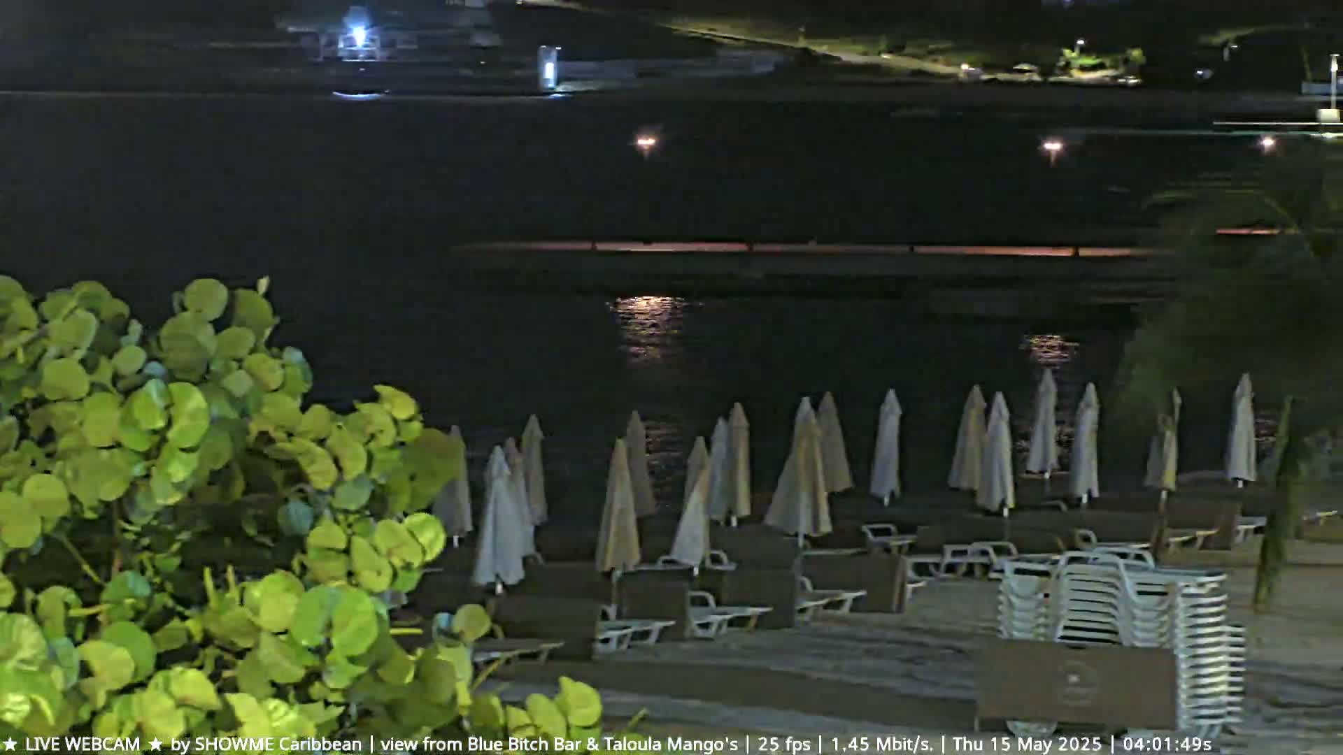 A nighttime beach scene shows several closed beach umbrellas and lounge chairs on a sandy shore next to calm dark water, with lush green foliage in the foreground.