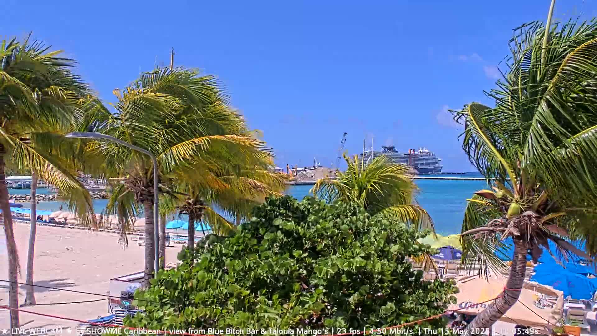 A sandy beach with palm trees in the foreground overlooks a calm, turquoise ocean where a large cruise ship is docked under a bright, sunny sky.