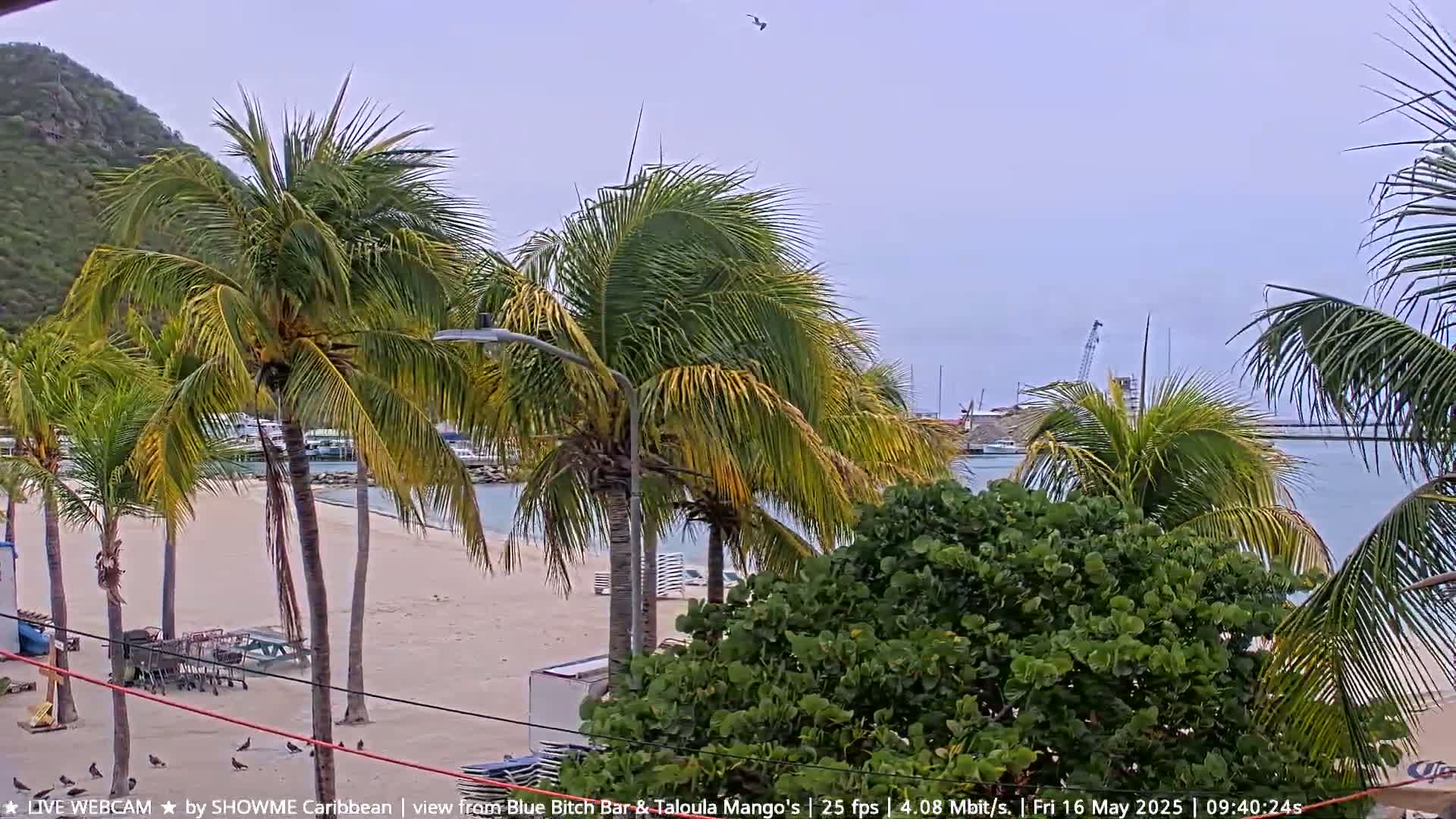 A mostly sunny day shows a sandy beach with palm trees, a calm body of water with boats, and a hill in the background.