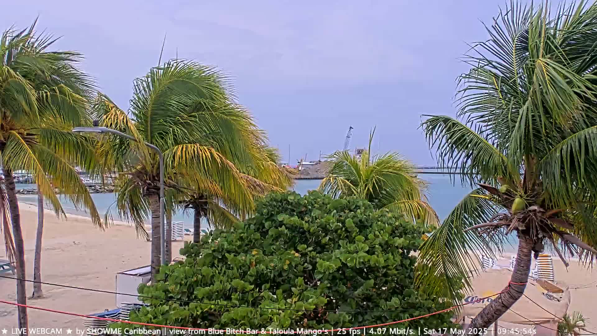 A sandy beach with palm trees and lounge chairs is visible, under an overcast sky, with calm ocean water beyond a small jetty.