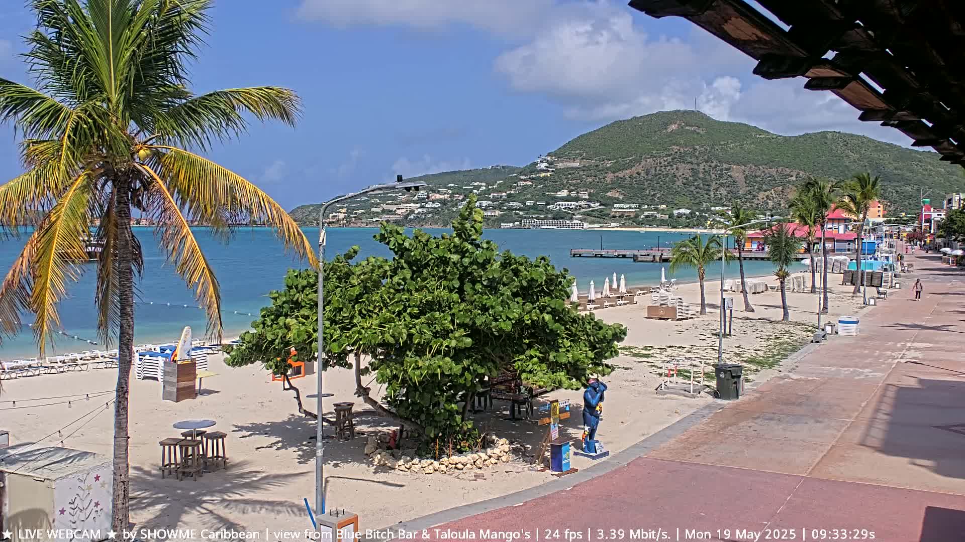 A sunny beach scene shows a palm tree, beach chairs, a boardwalk, and a hill in the background, under a mostly clear sky.