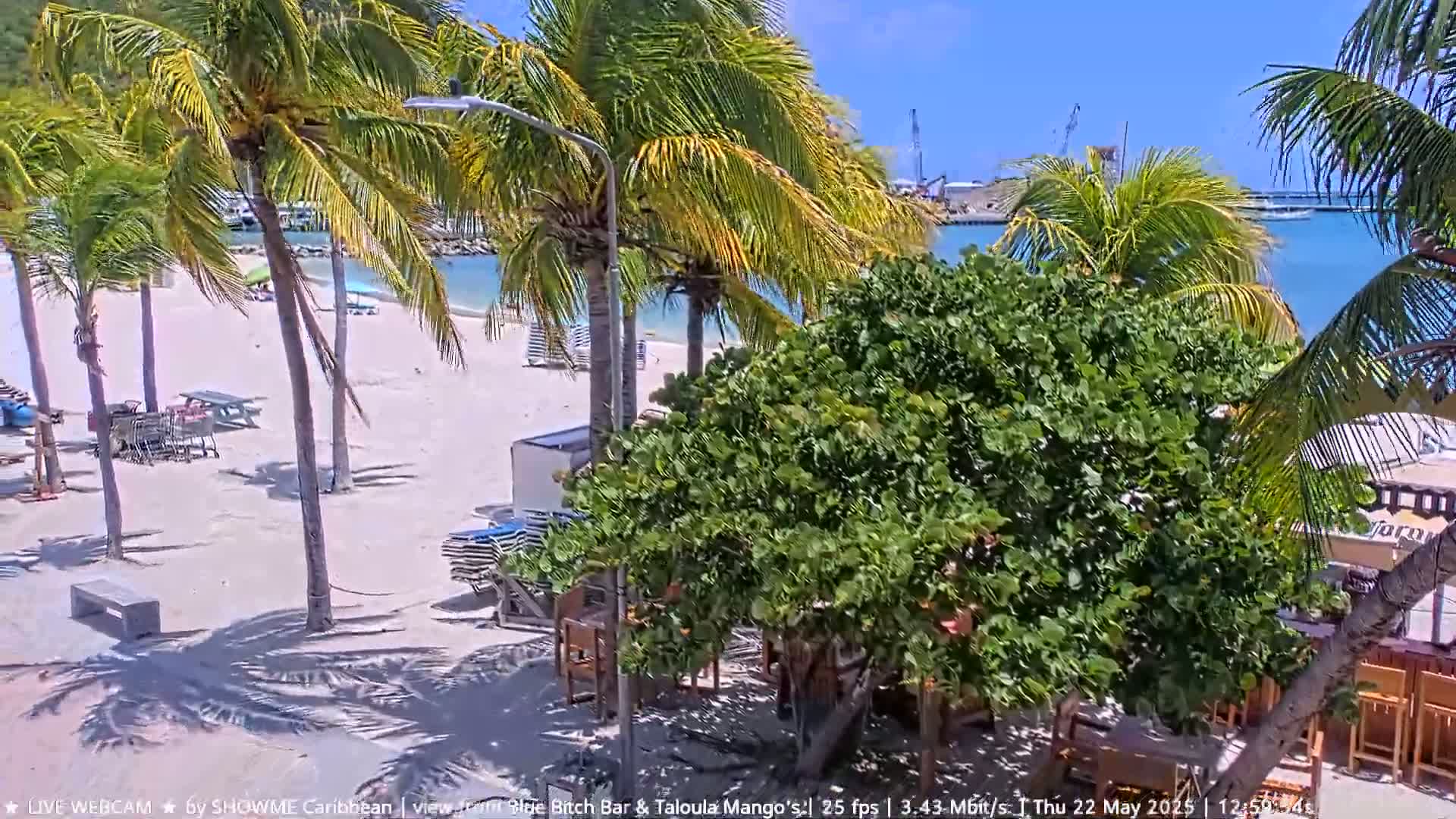 A sandy beach with palm trees, picnic tables, and lounge chairs is visible, overlooking calm, clear water on a sunny day.