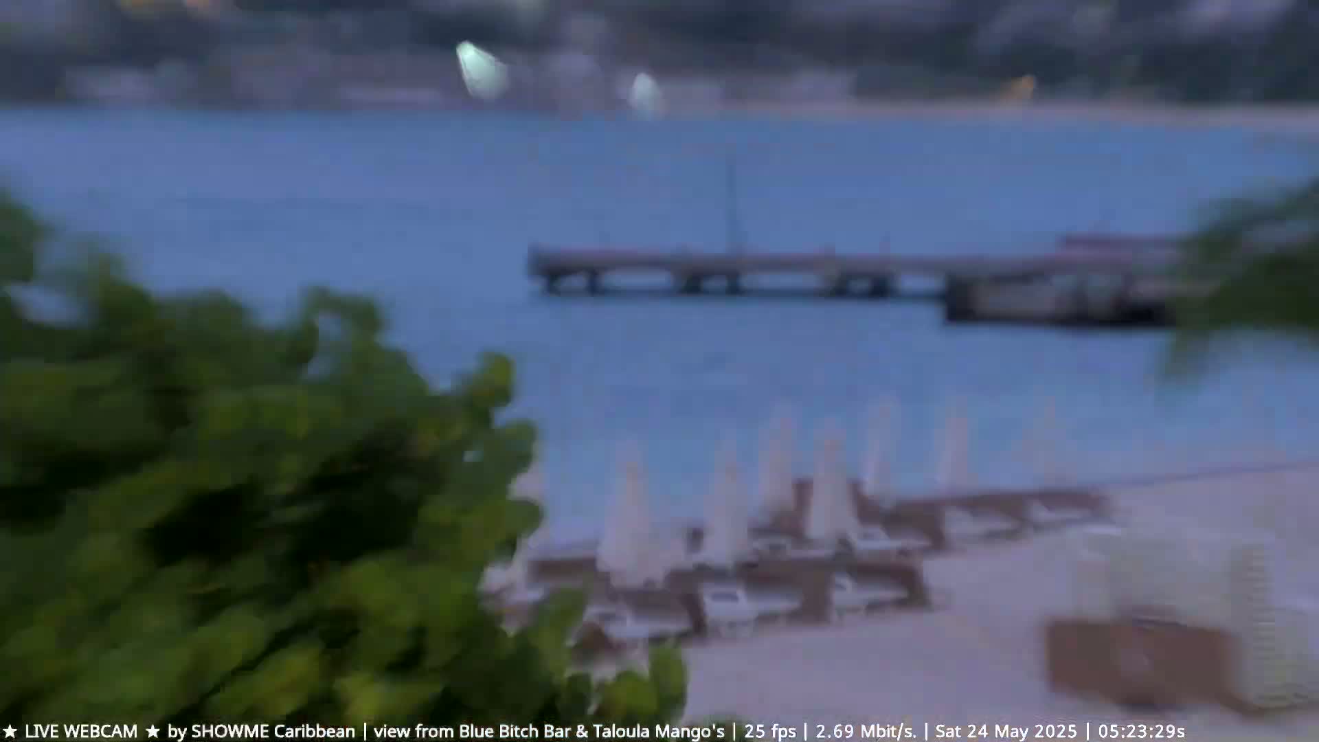 A beach with white umbrellas and lounge chairs is visible beyond some green foliage, overlooking a calm body of water with a pier in the distance, under a dusky sky.