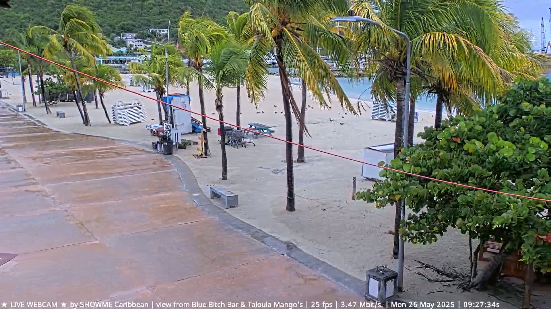 A wet, sandy beach with palm trees and a few beach chairs is visible, under an overcast sky.