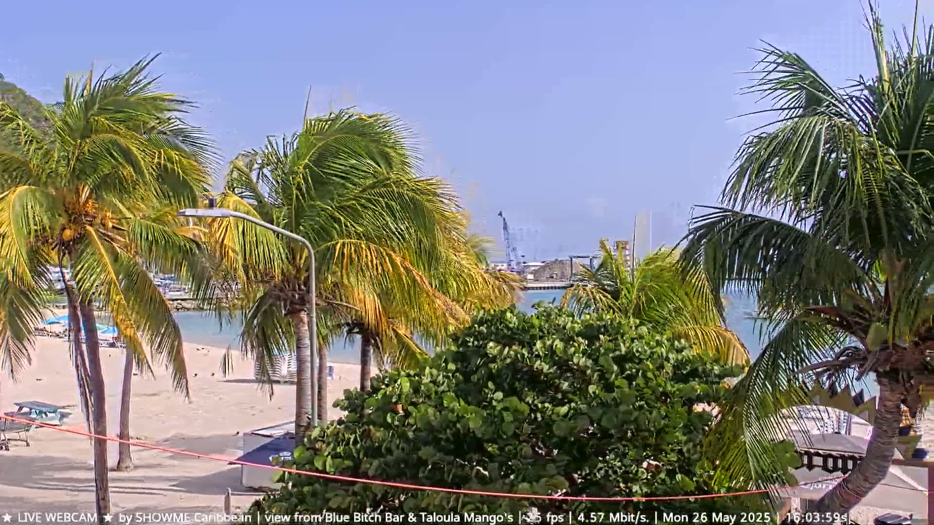 A sandy beach with palm trees blowing in the wind overlooks a calm body of water with a distant crane visible under a clear blue sky.