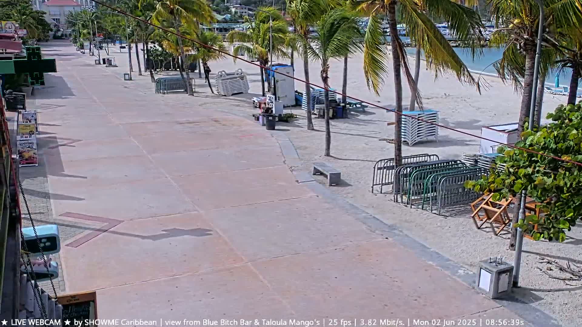 A paved walkway leads to a sandy beach lined with palm trees, beach chairs, and metal barriers under a sunny sky.