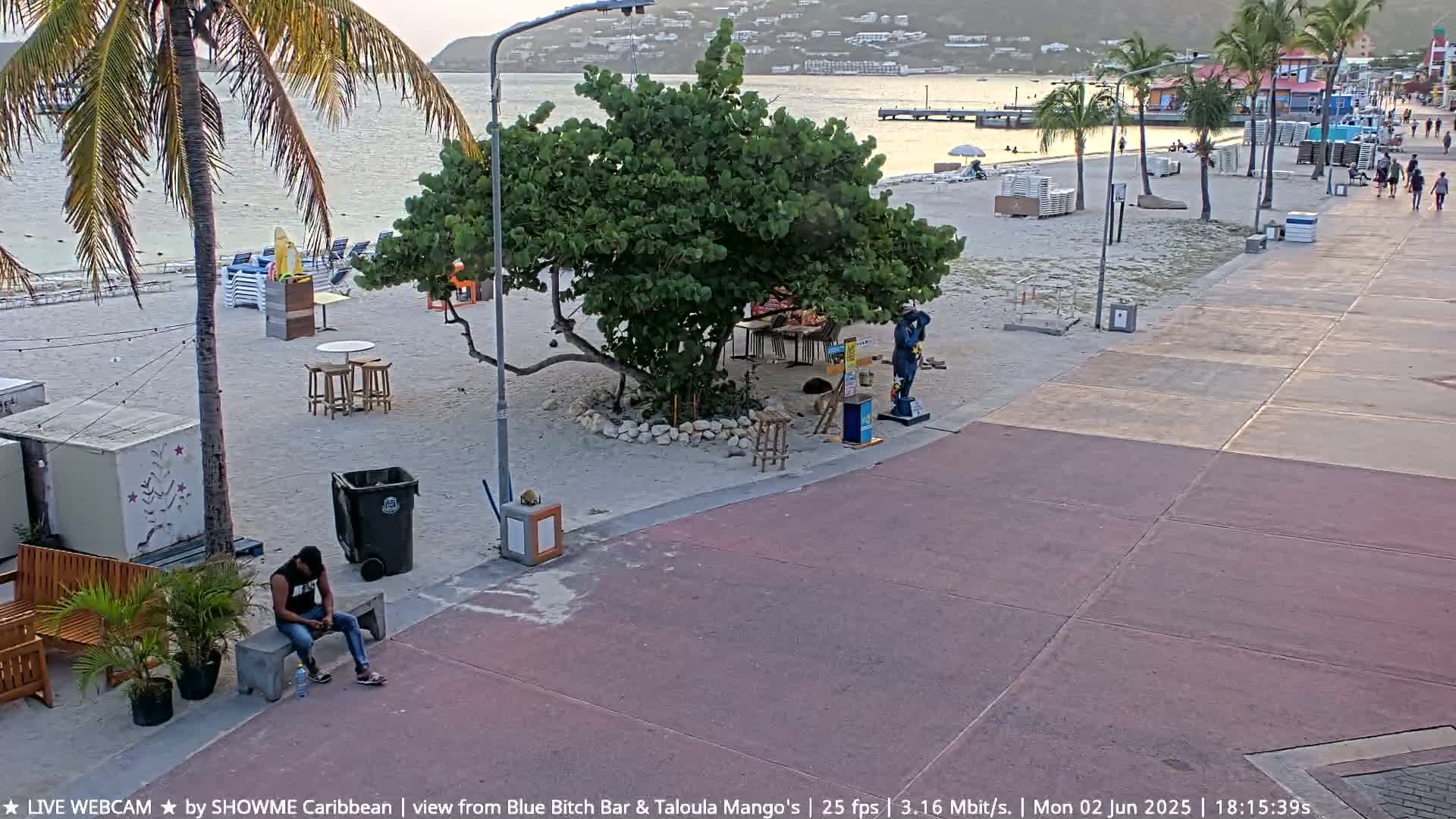 A sandy beach with palm trees, lounge chairs, and a few people is next to a paved walkway; the sky is clear and the light suggests it is either dawn or dusk.